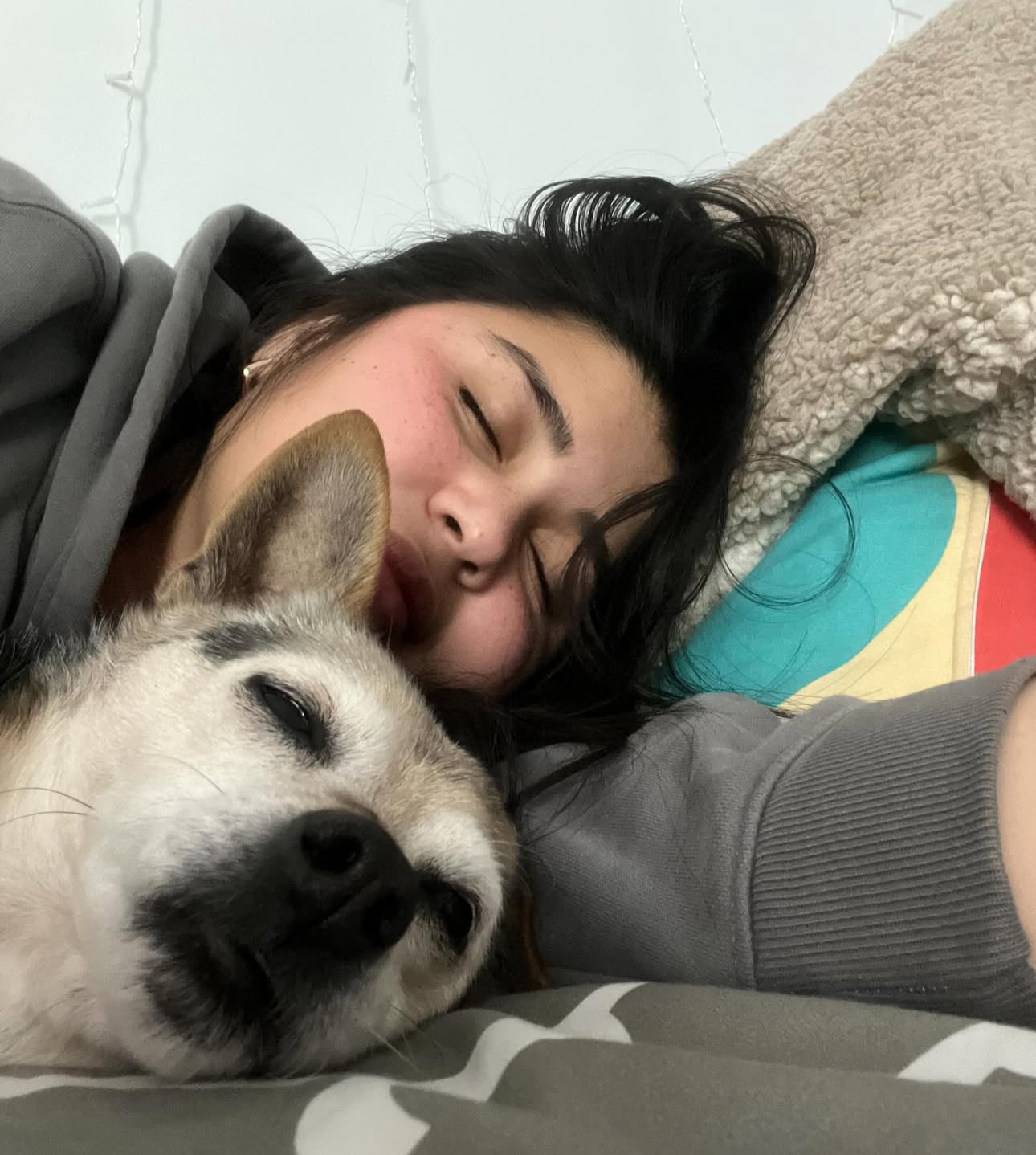 Help save our best friends dog Tuffy campaign photo, 5 of 8