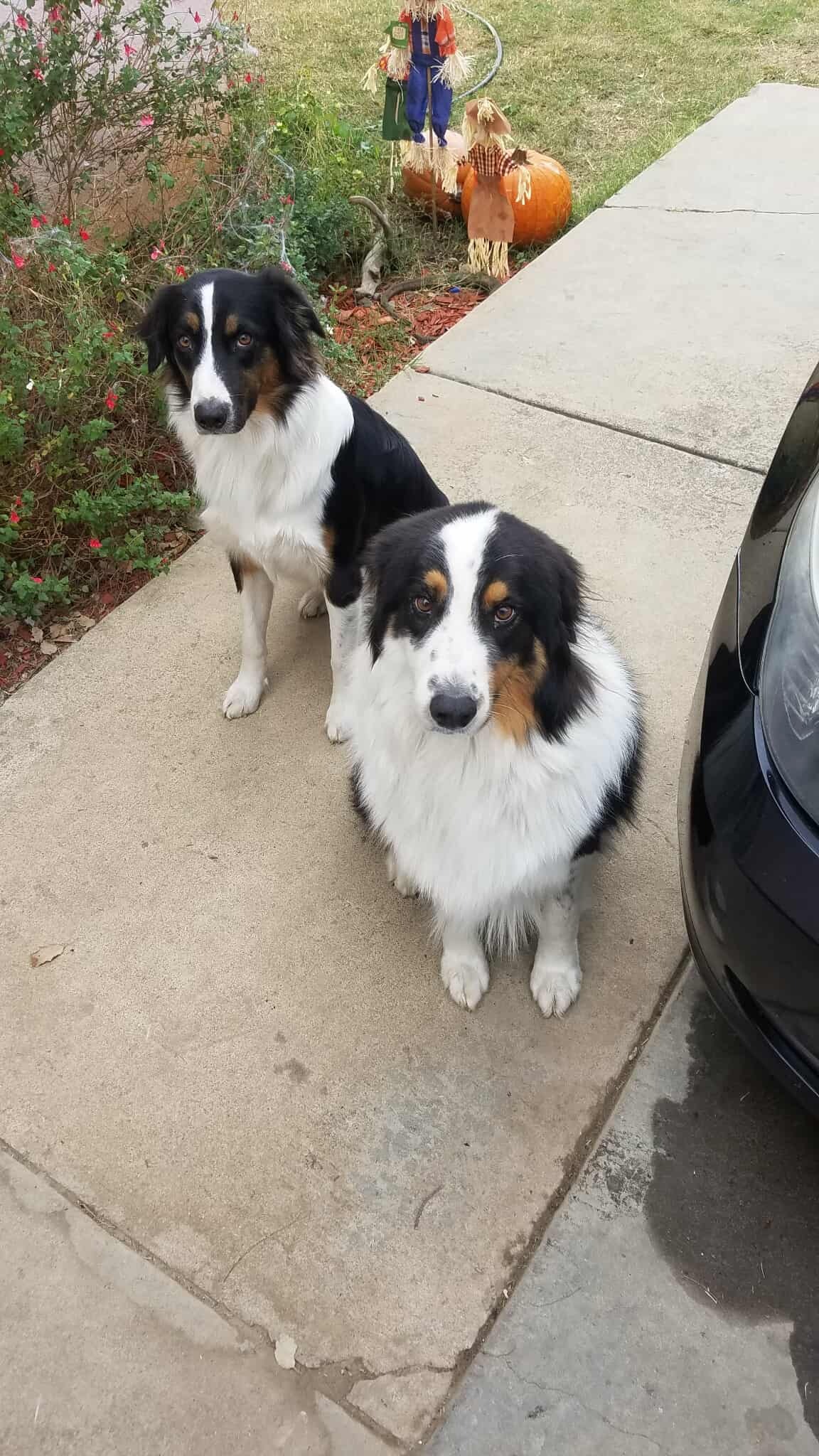 User-uploaded image 1