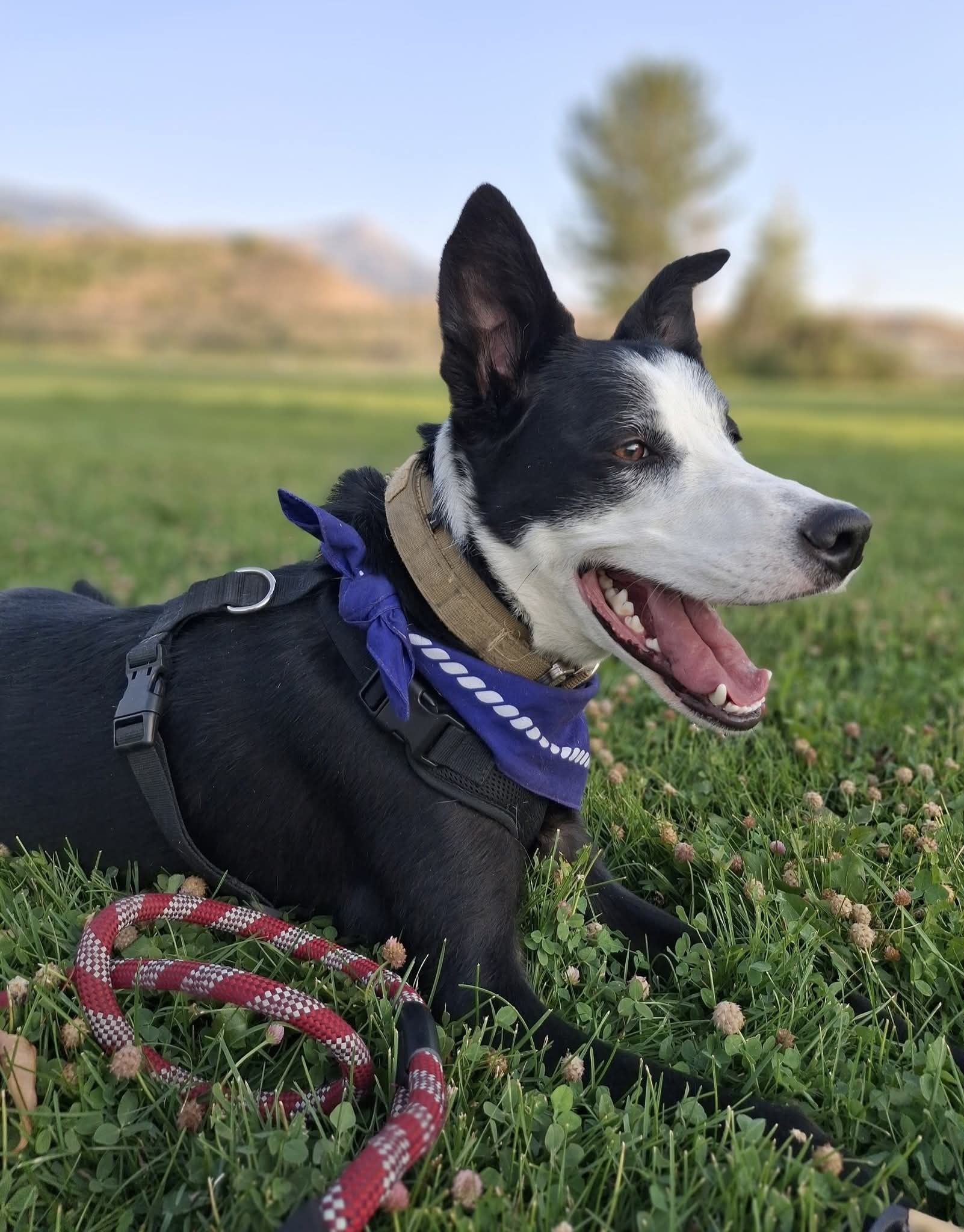 Zuko needs an MRI campaign photo, 6 of 7