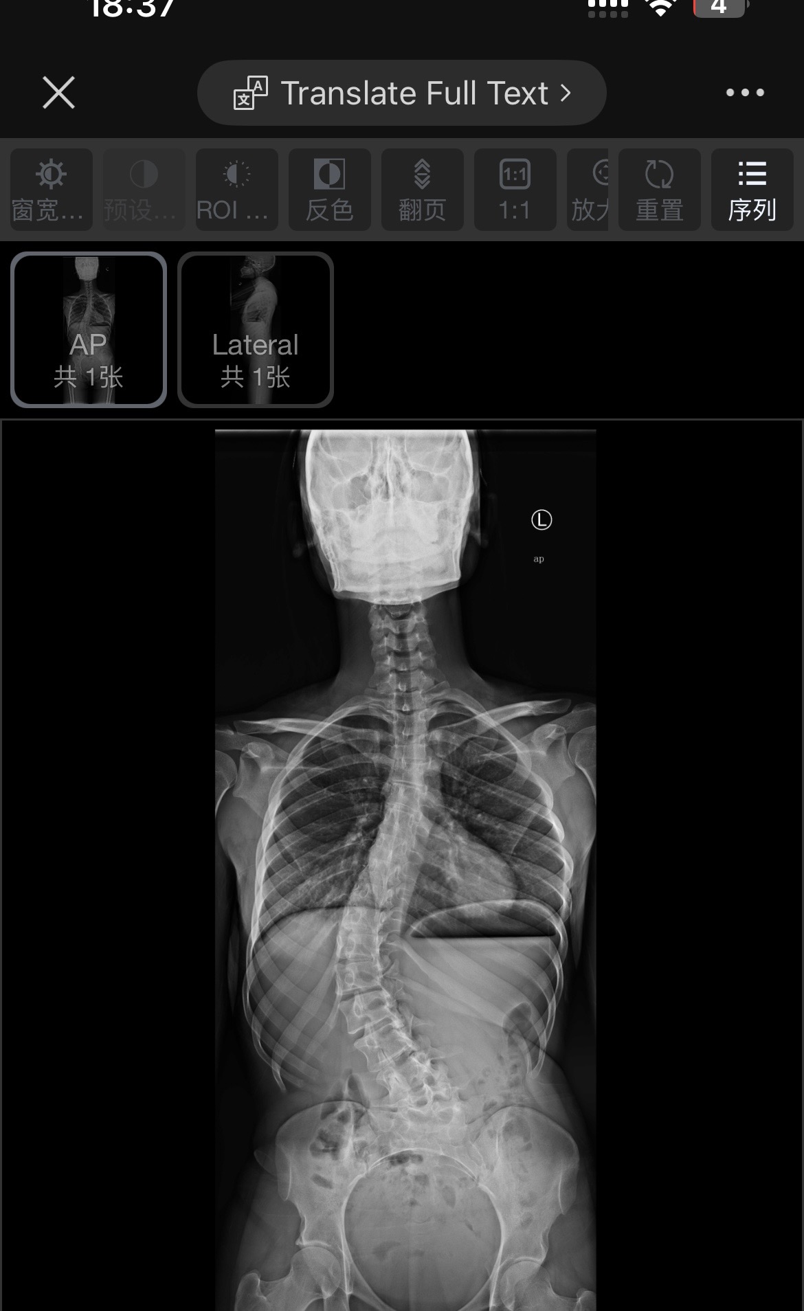 User-uploaded image 1