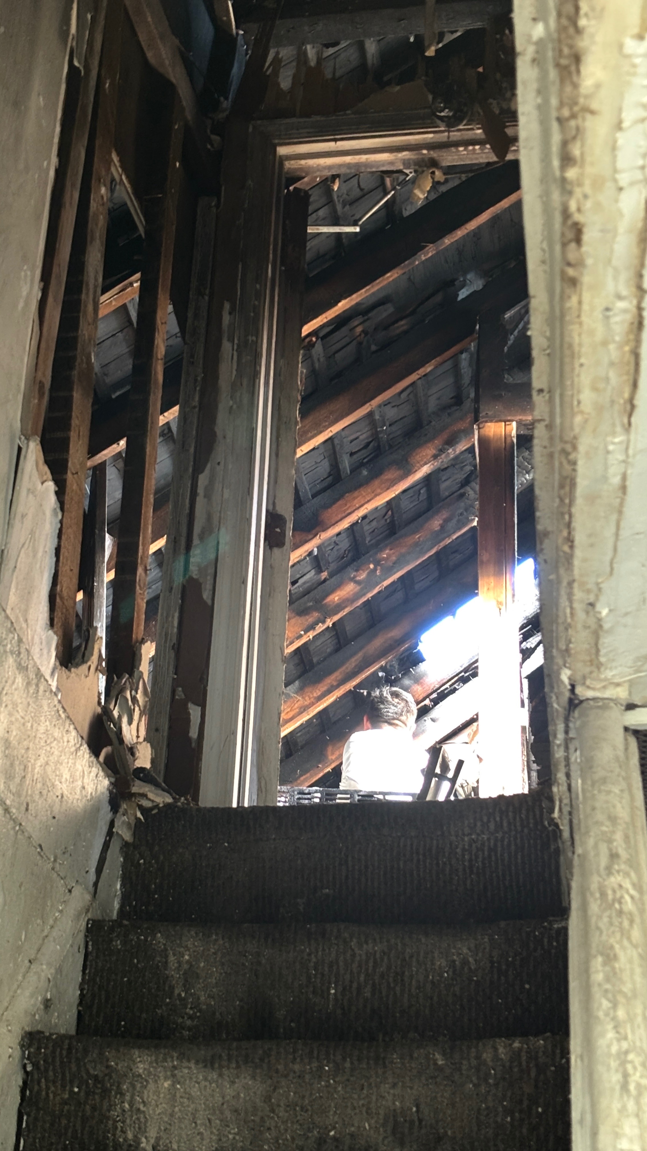 Help Support Estrella After The Fire campaign photo, 2 of 7