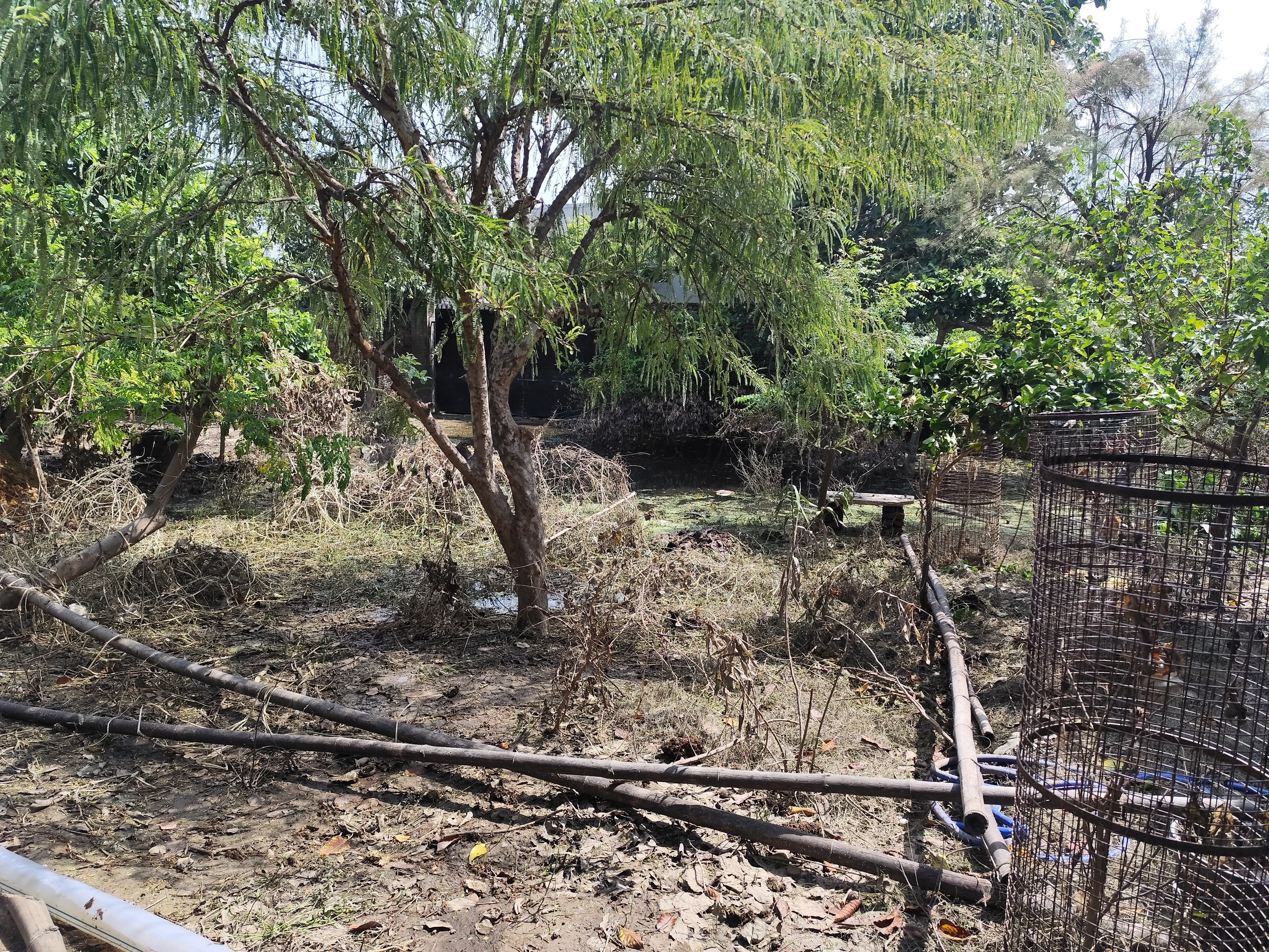 Help Rupanuga Bhajan Ashram Recover from Flood campaign photo, 7 of 8