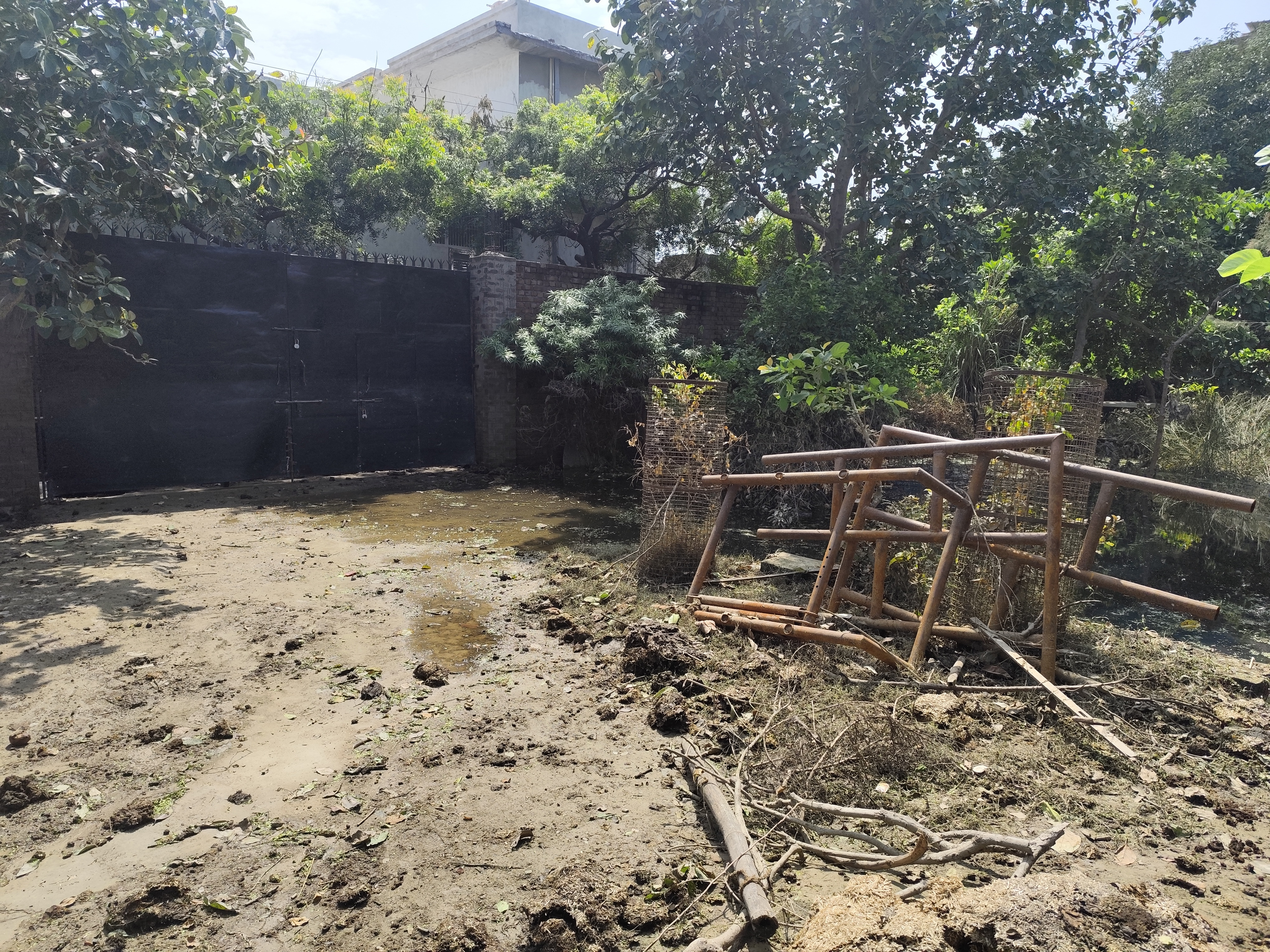 Help Rupanuga Bhajan Ashram Recover from Flood campaign photo, 2 of 8