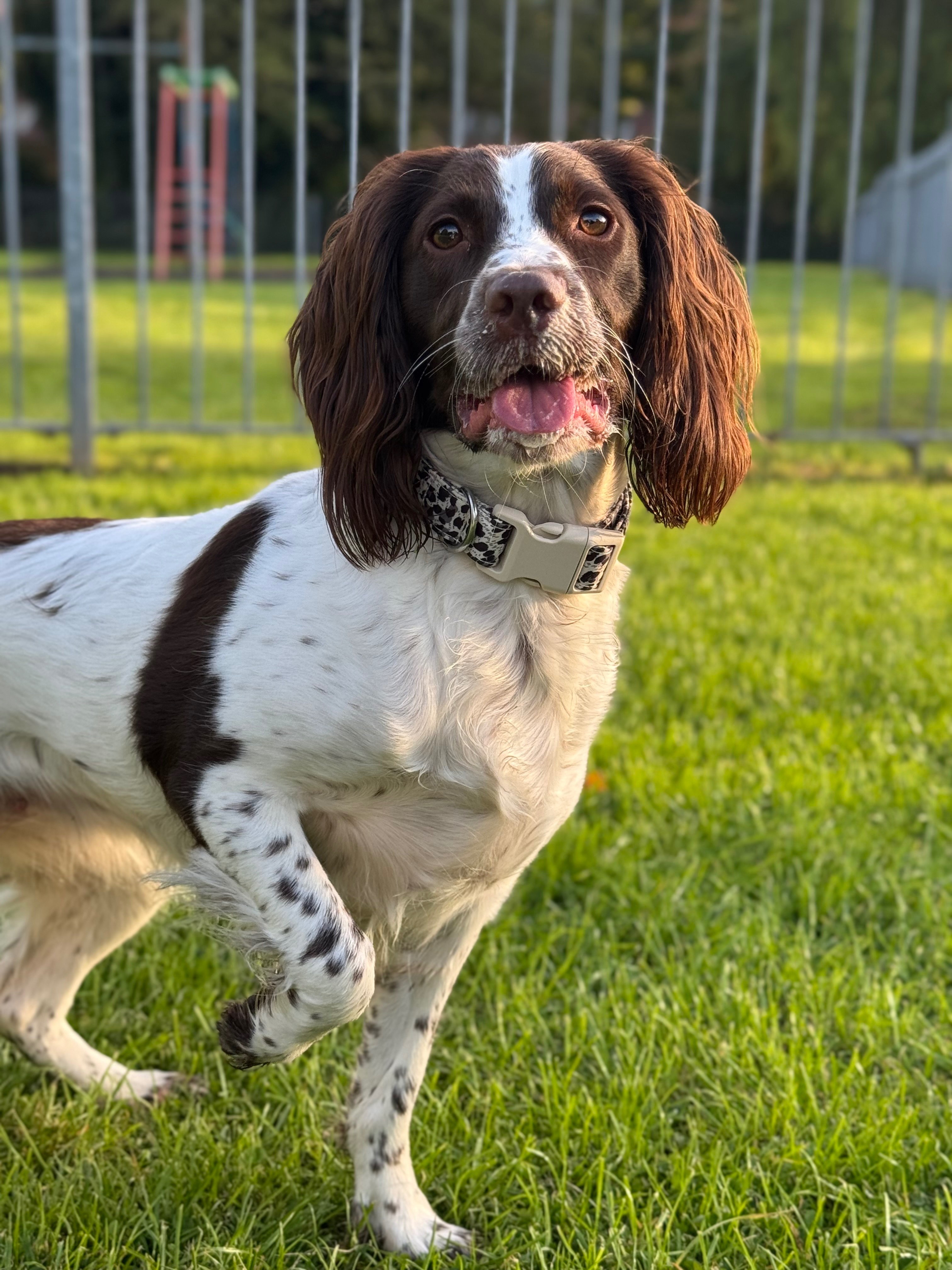 Tilly campaign photo, 2 of 8