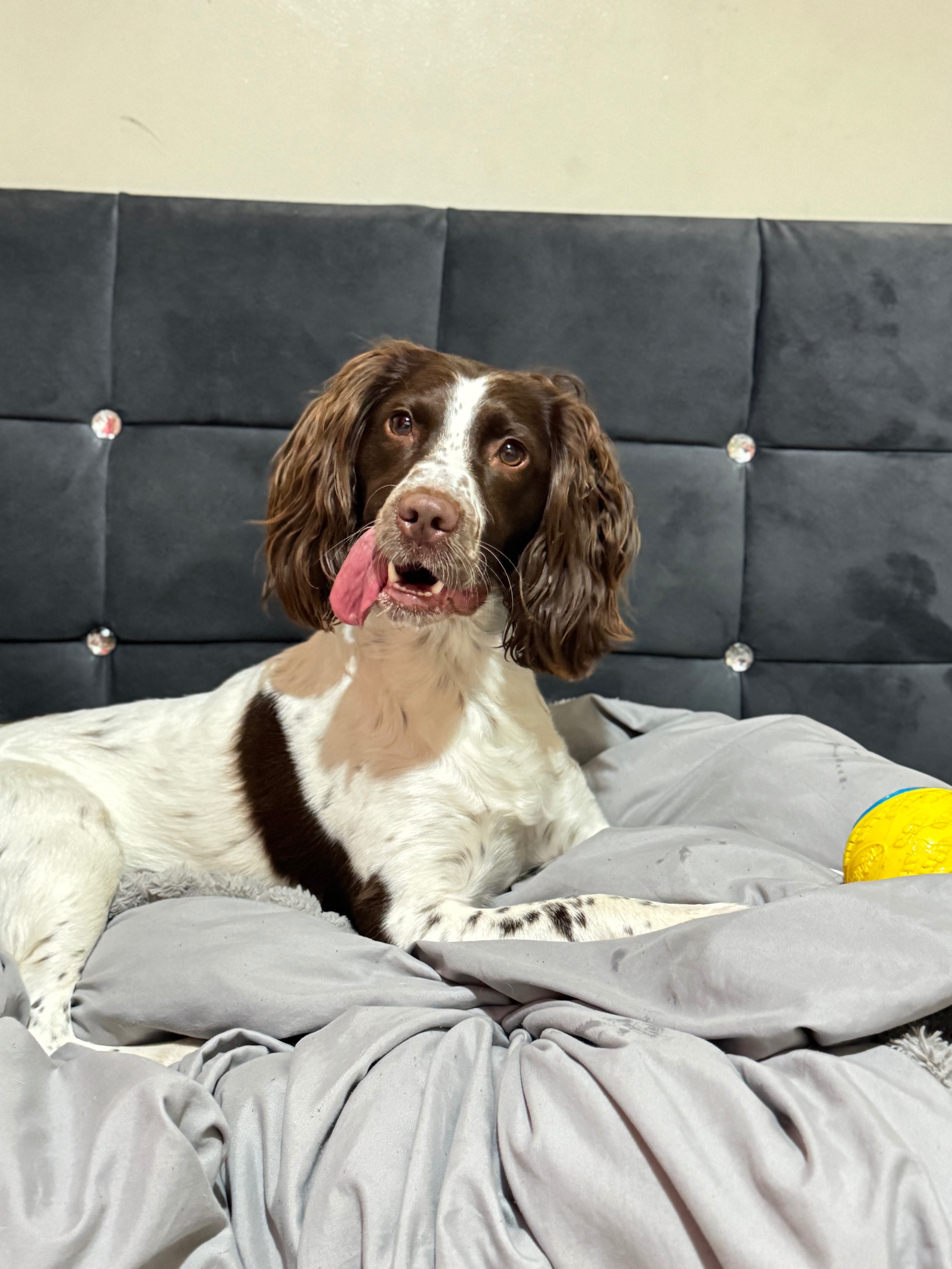 Tilly campaign photo, 4 of 8