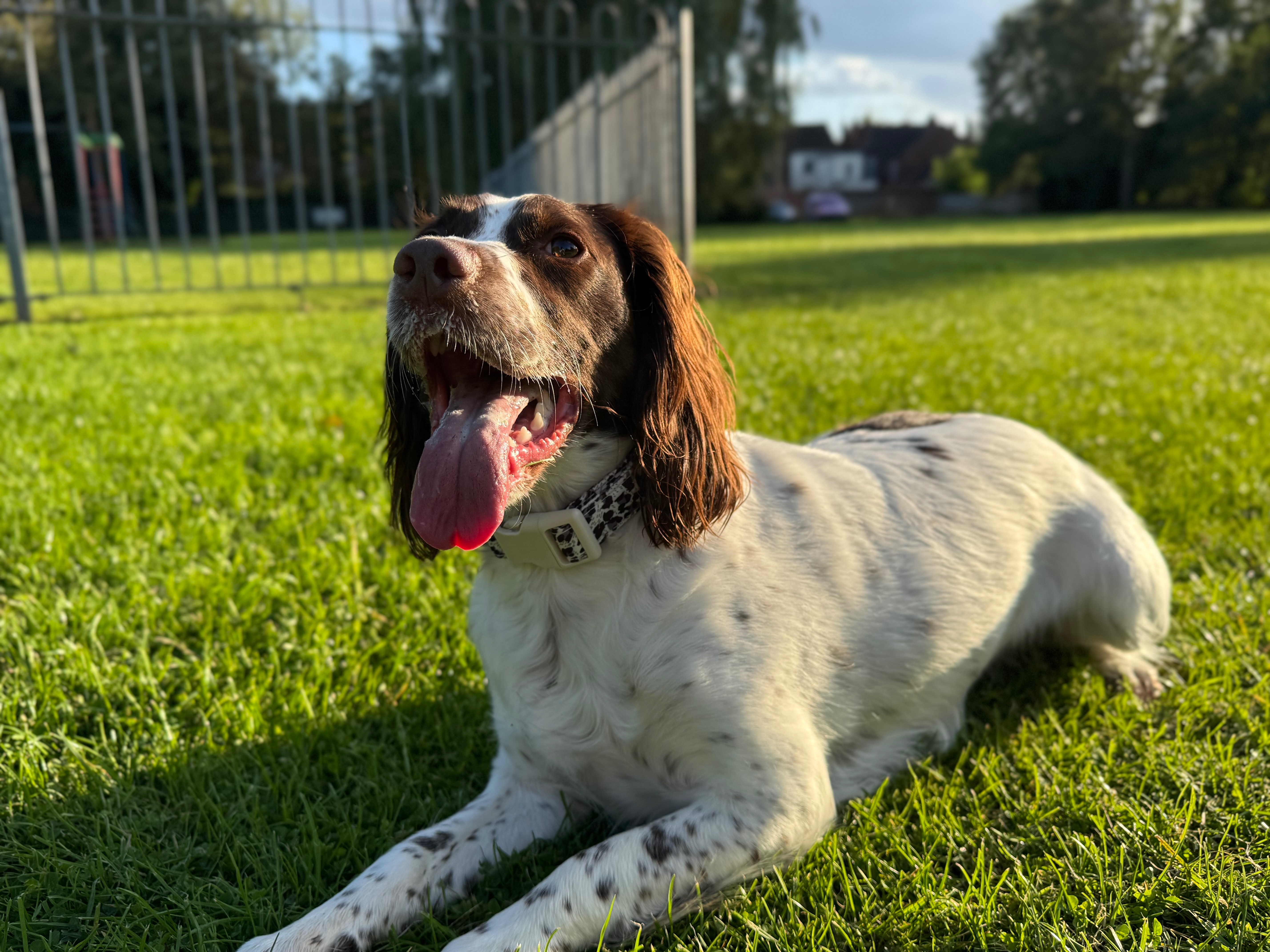 Tilly campaign photo, 5 of 8