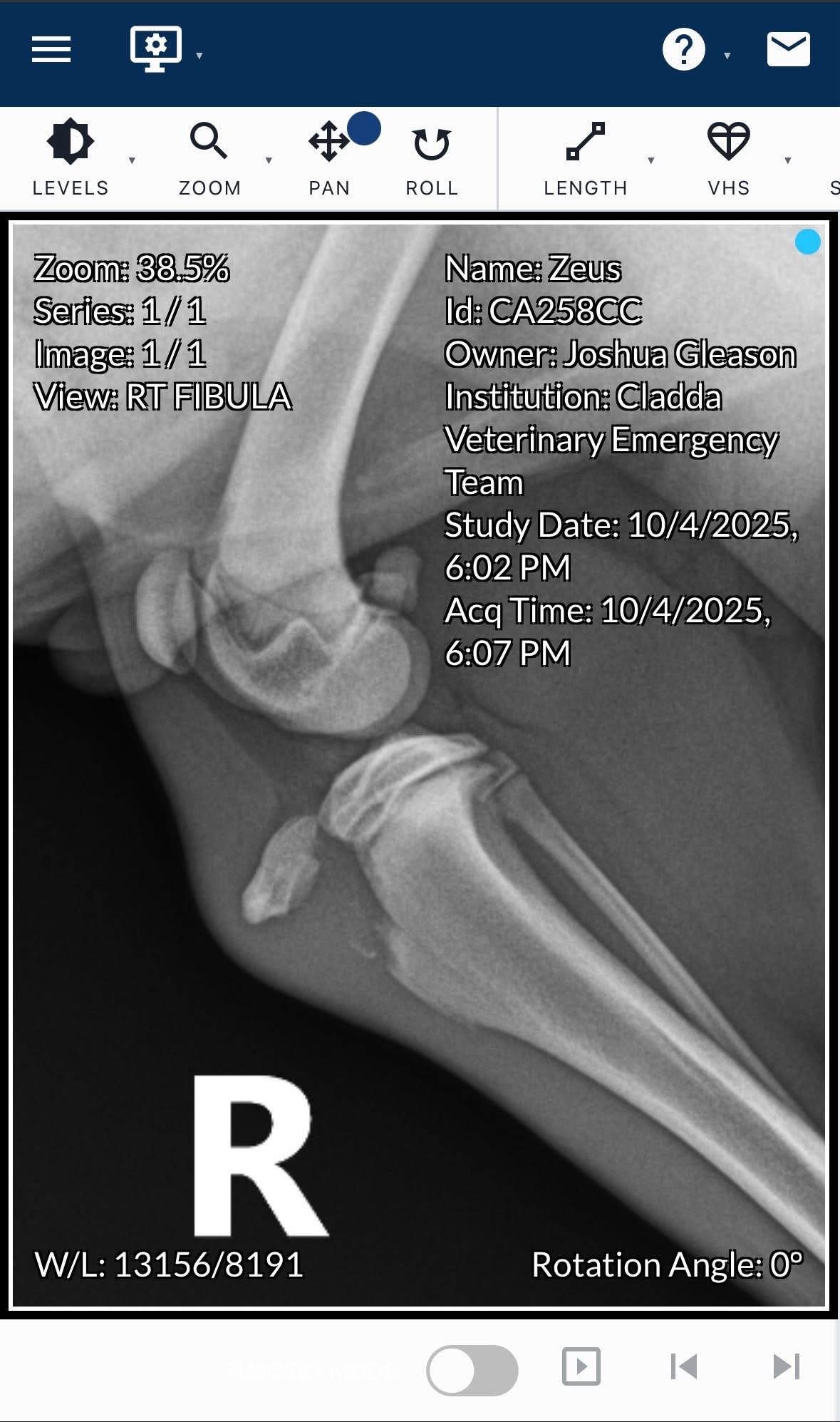 Surgery for Zeus campaign photo, 4 of 5