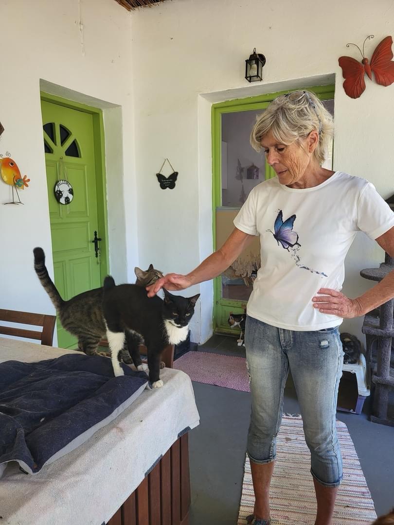 The Skyros Stray Cats Winter Appeal! campaign photo, 7 of 8