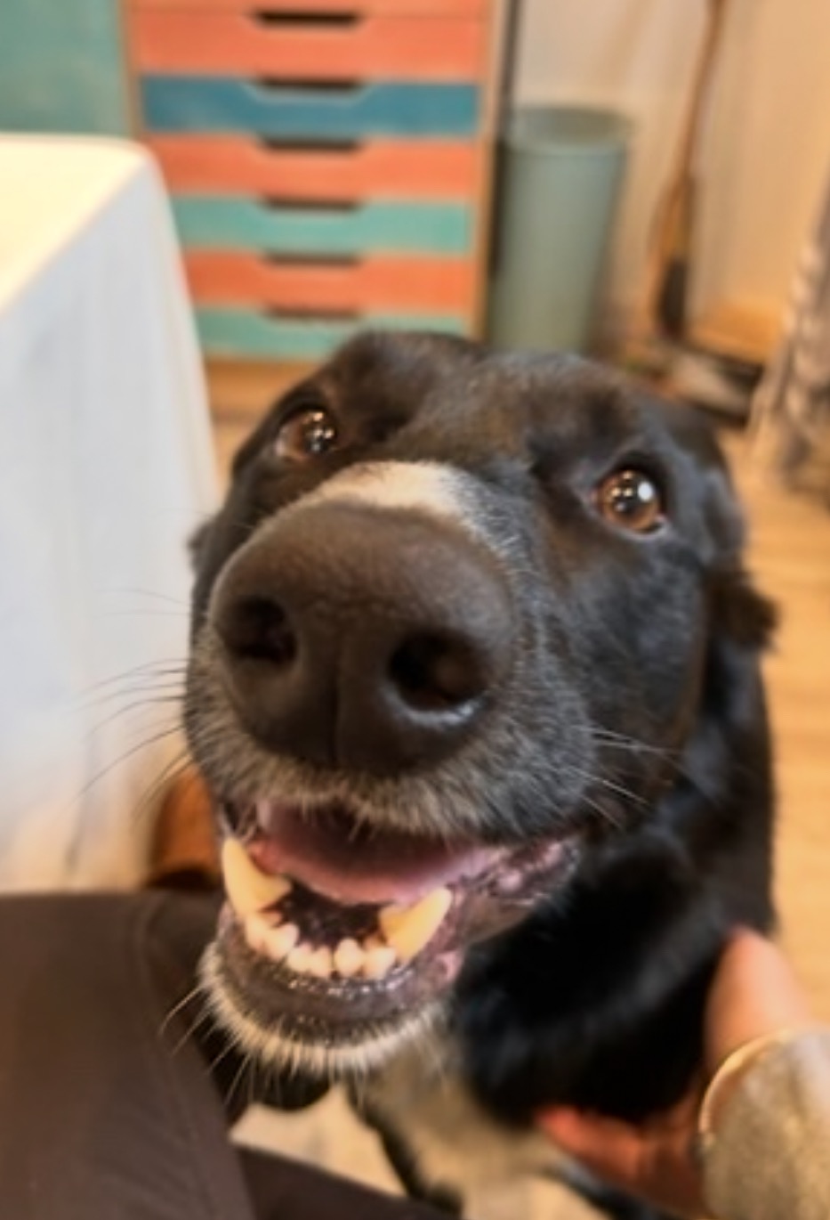 Flynn’s Urgent Medical Care campaign photo, 4 of 5