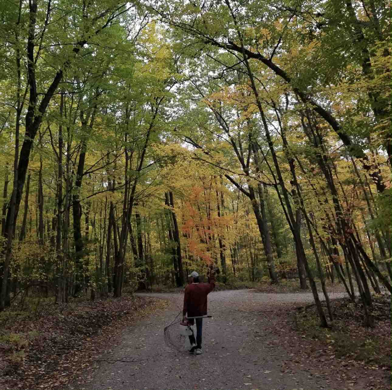 Cremation Costs for Matt Westerhouse campaign photo, 2 of 4