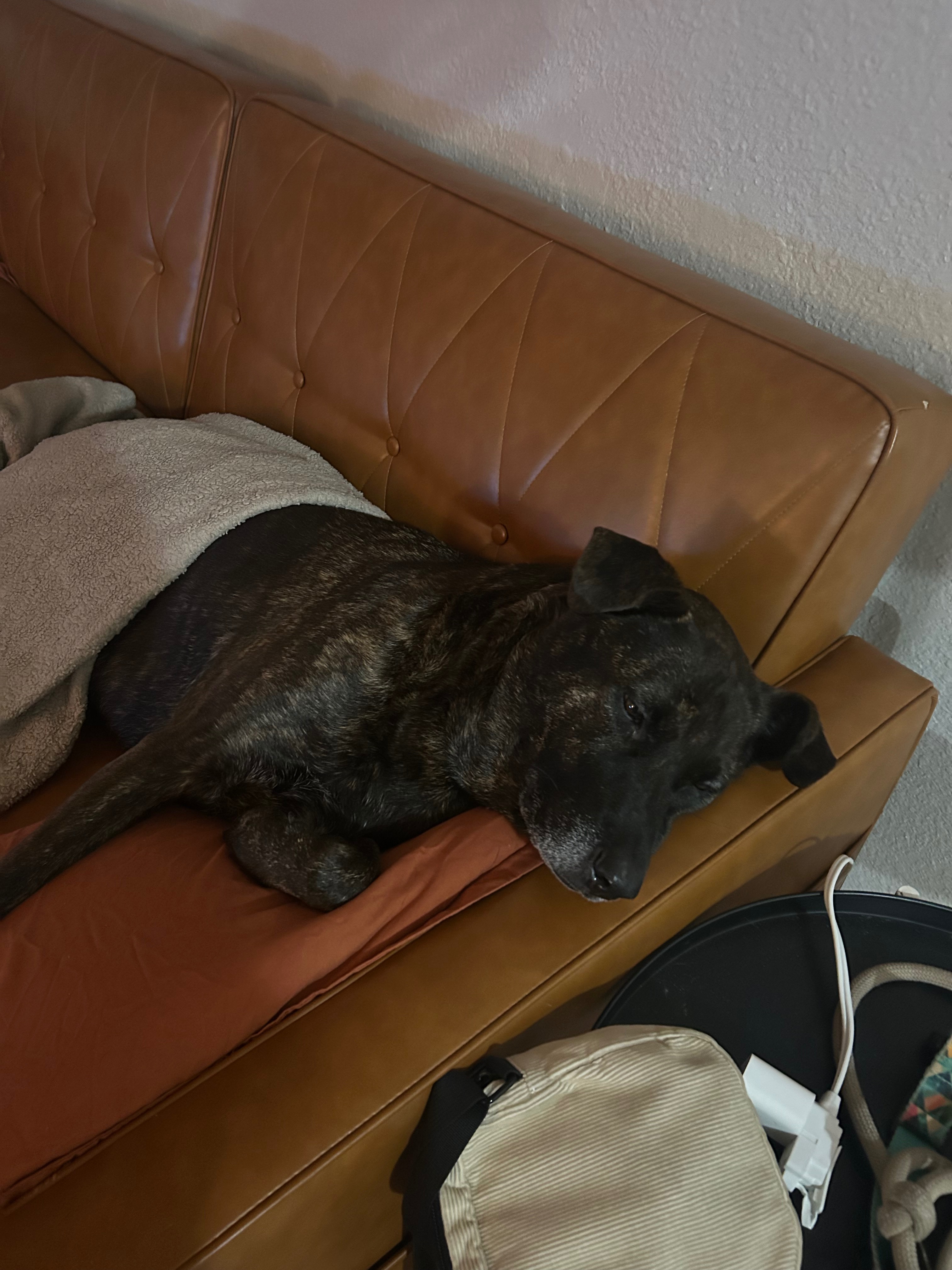 My baby bear’s knee surgery campaign photo, 6 of 7