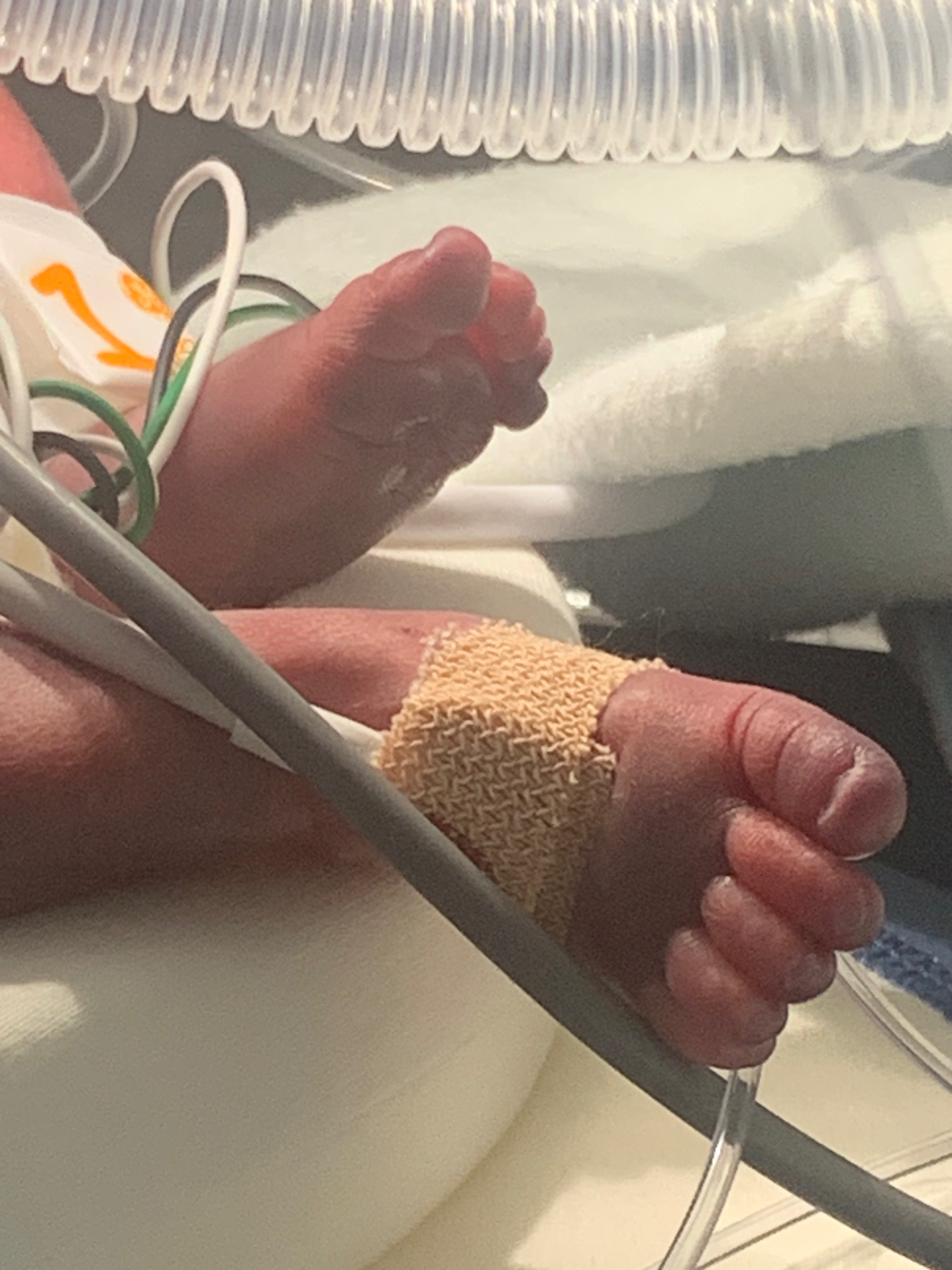 Support for Elaine & Karter’s NICU Journey campaign photo, 2 of 8