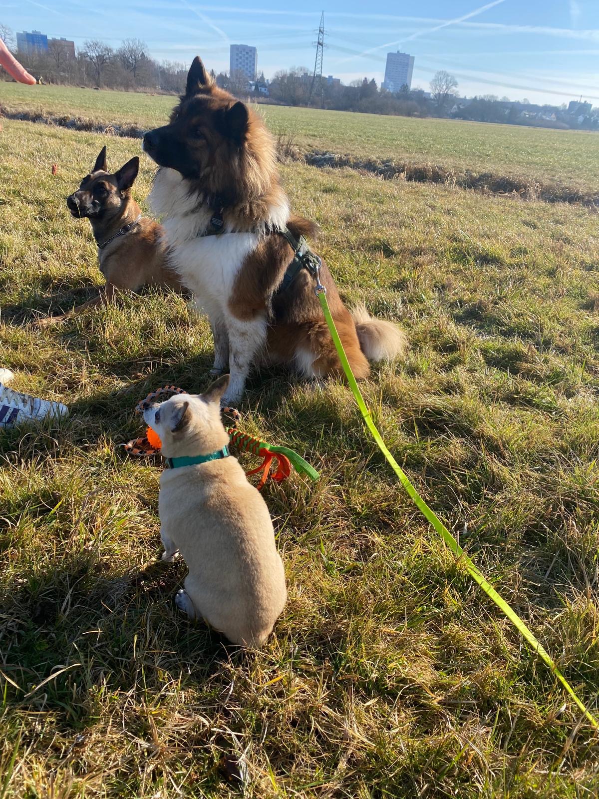 Hilfe für Oliver & Mayla – Ein ungerechter Prozess droht uns campaign photo, 4 of 7