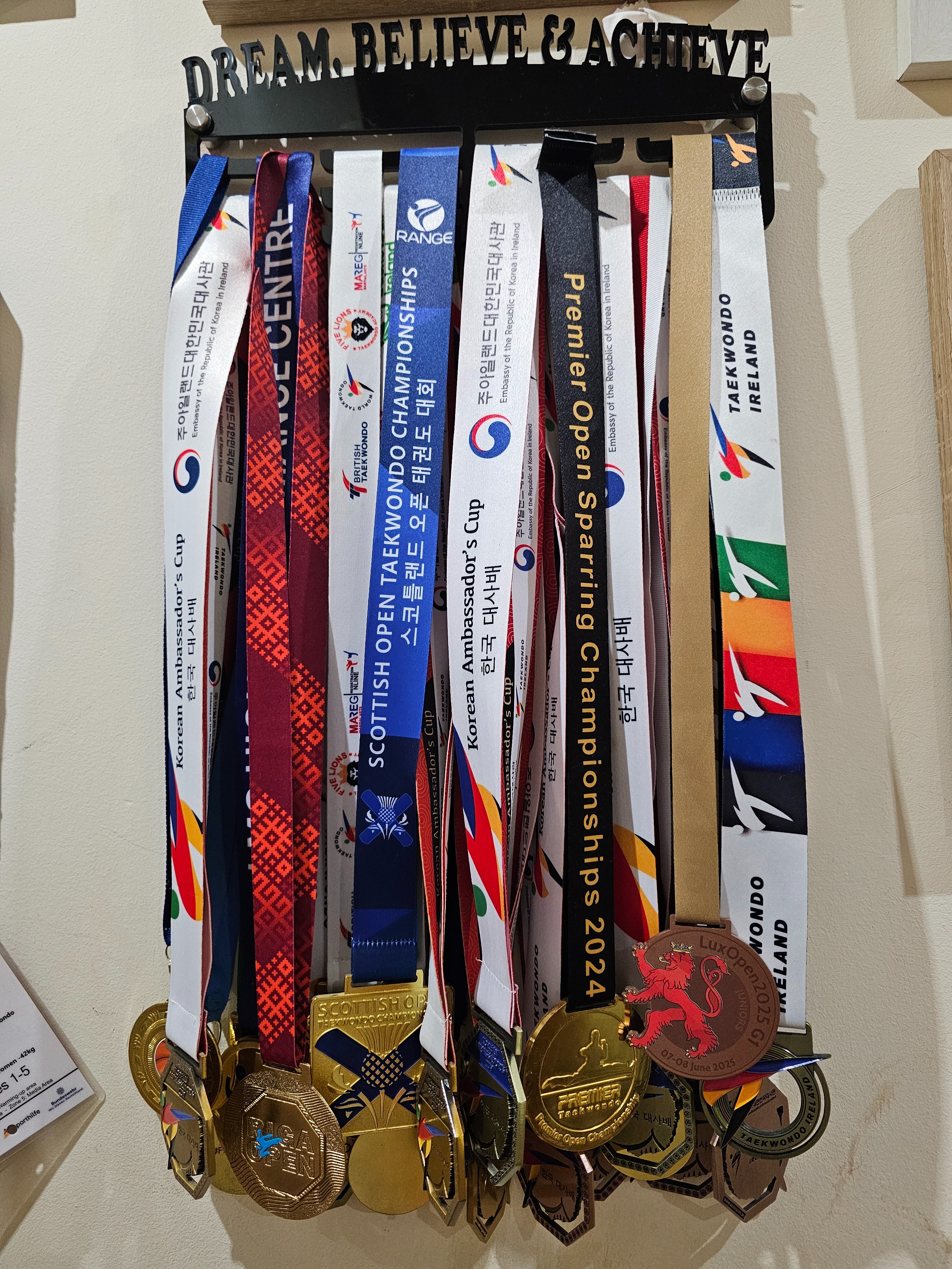 Taekwondo campaign photo, 2 of 5