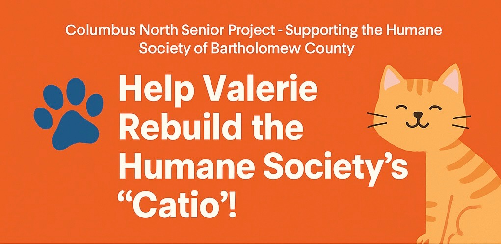 Help Valerie Rebuild the Human Society's CATIO! campaign photo, 5 of 7