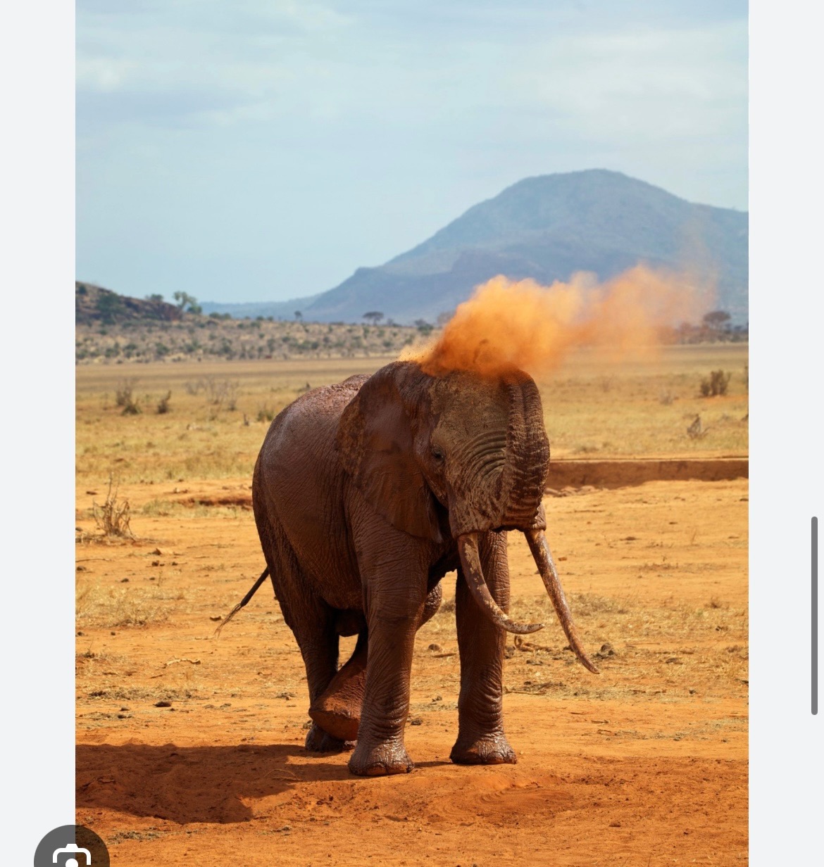 Camps international Kenya 2027 Sinead McShane campaign photo, 5 of 8