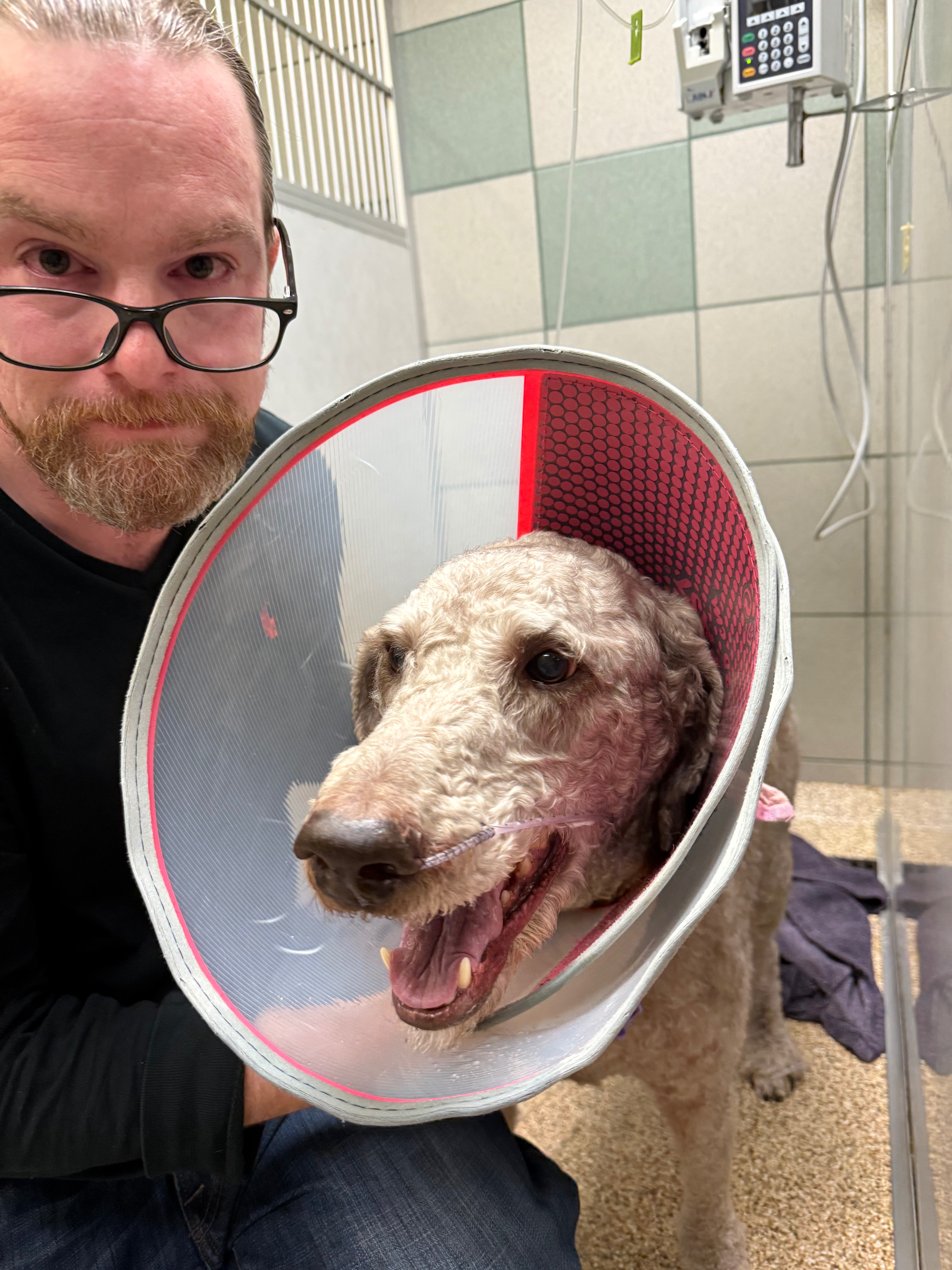 Support Watson's Life-Saving Surgery campaign photo, 2 of 5