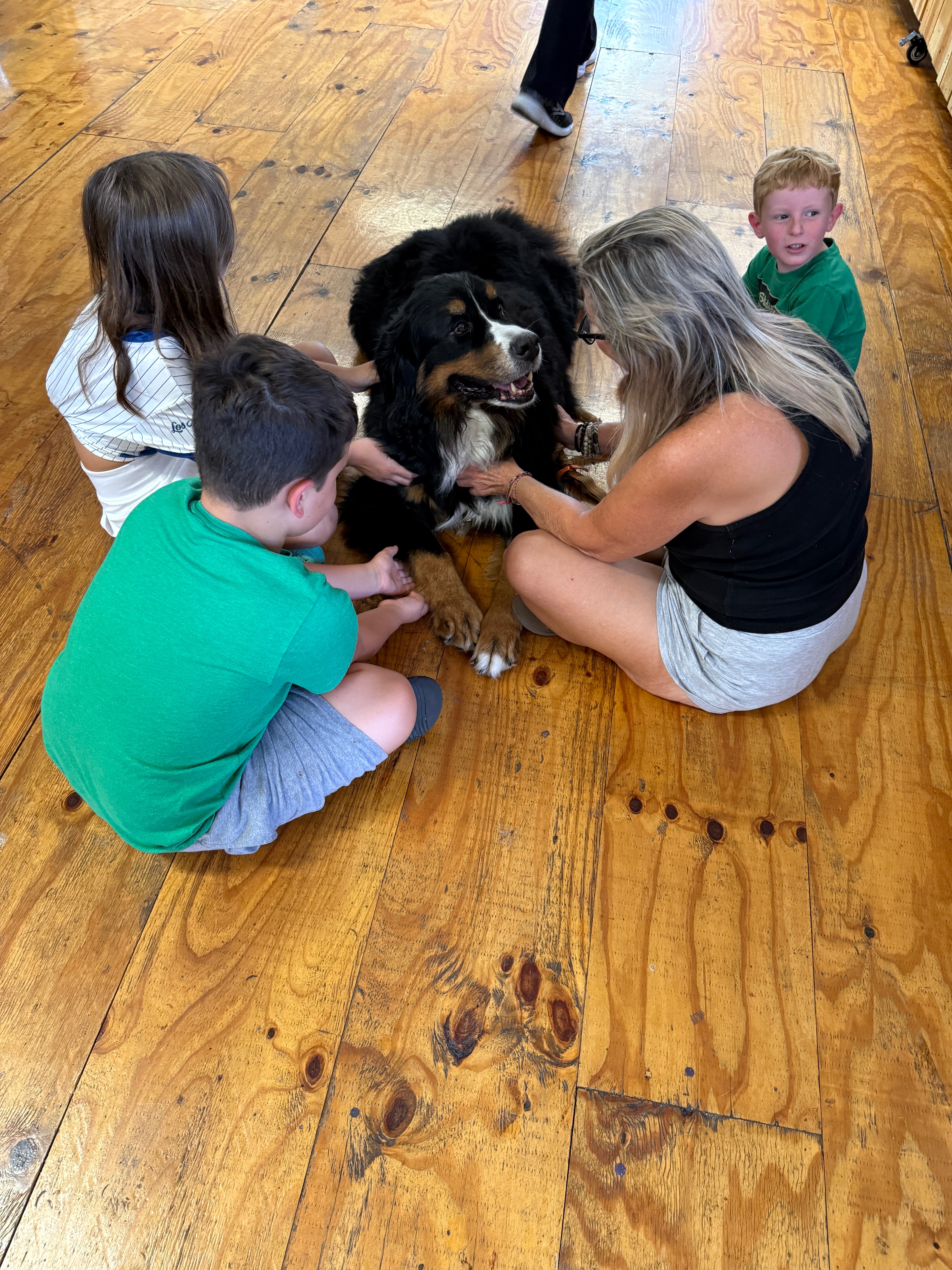 Saying Goodbye to Riley with Love and Dignity campaign photo, 4 of 6