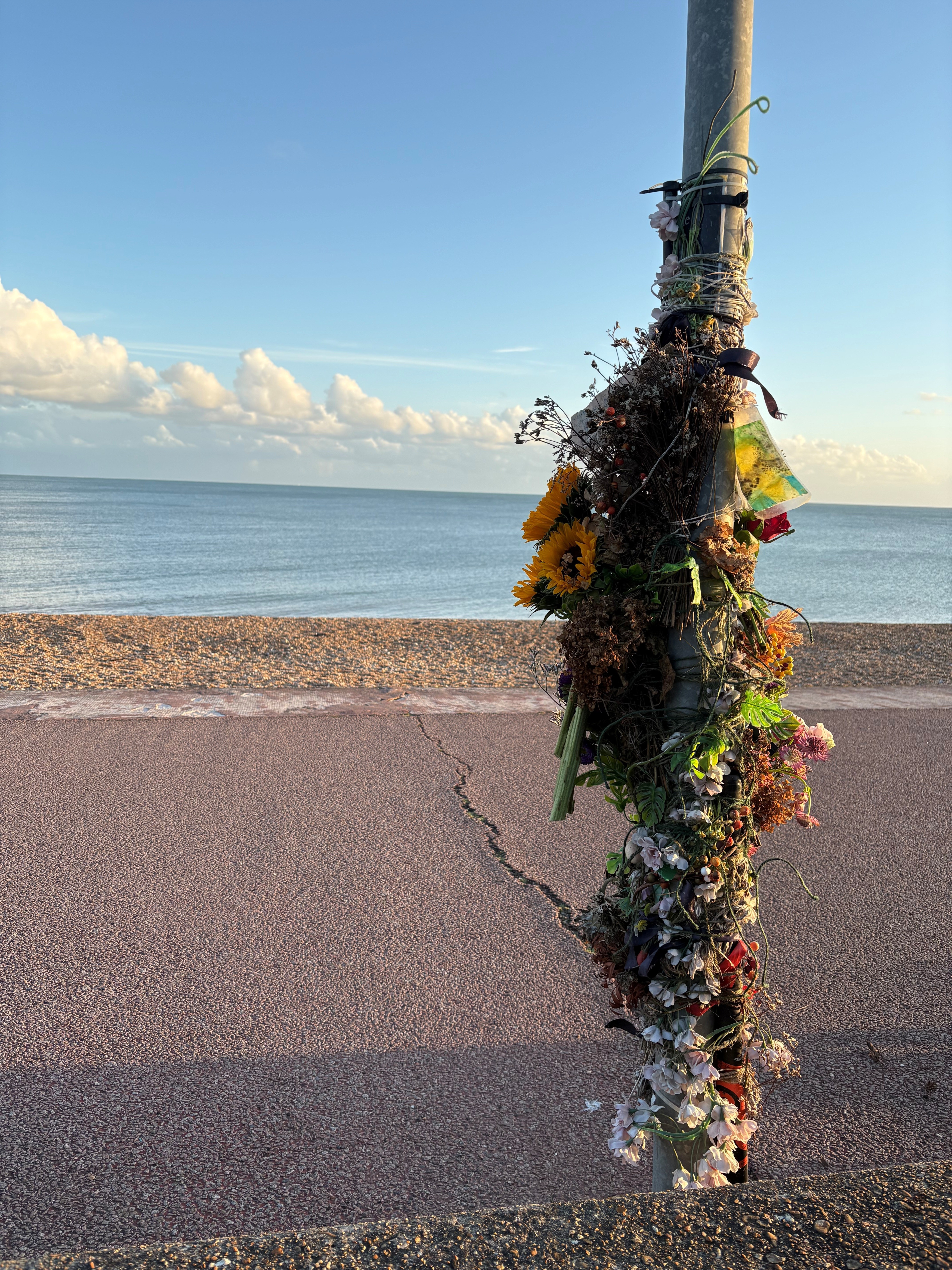 FUNDRAISER – Walk 4Ed – Mental Health and Suicide Awareness campaign photo, 7 of 8