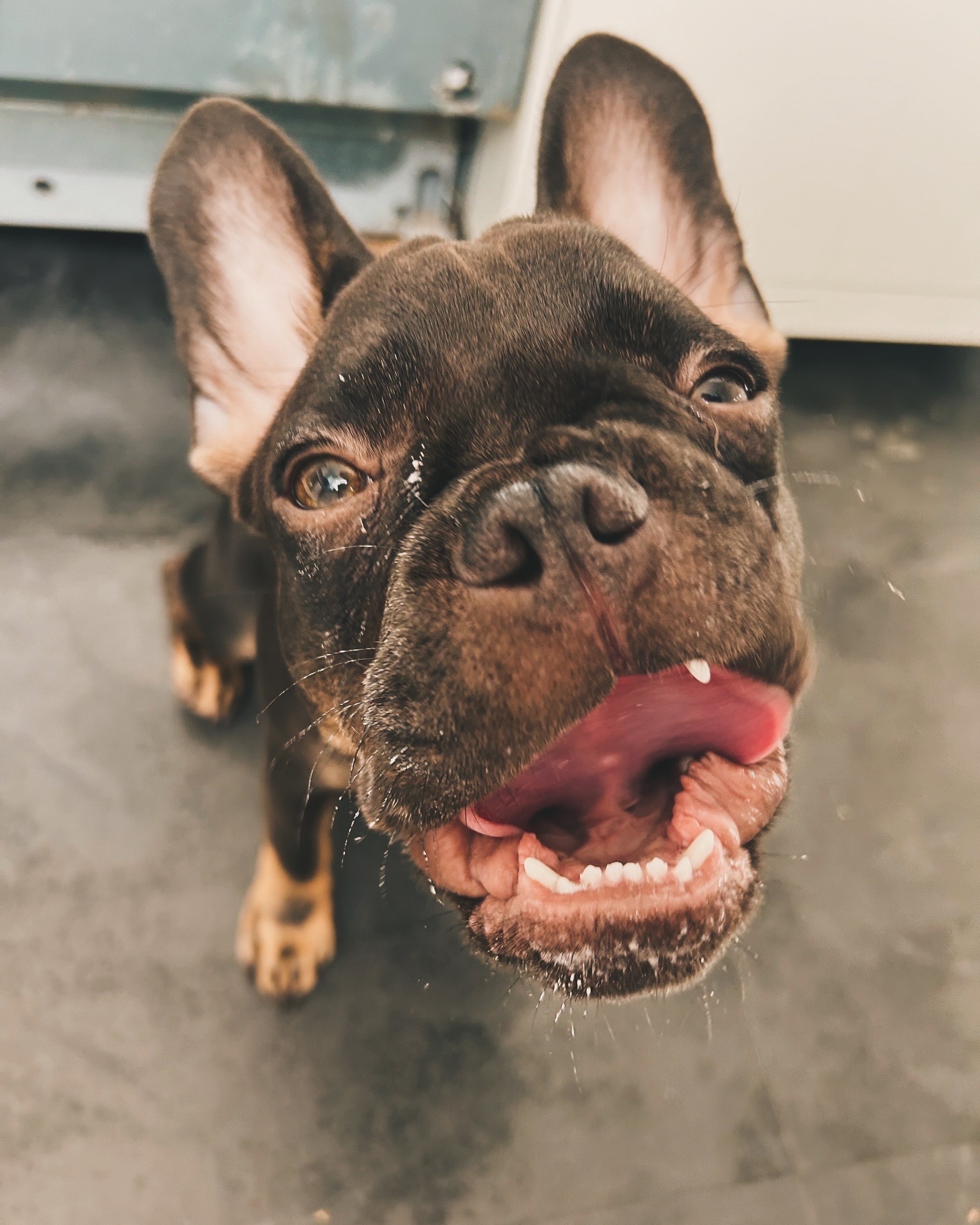 Eddy kämpft gegen Krebs - bitte helft uns! campaign photo, 5 of 6
