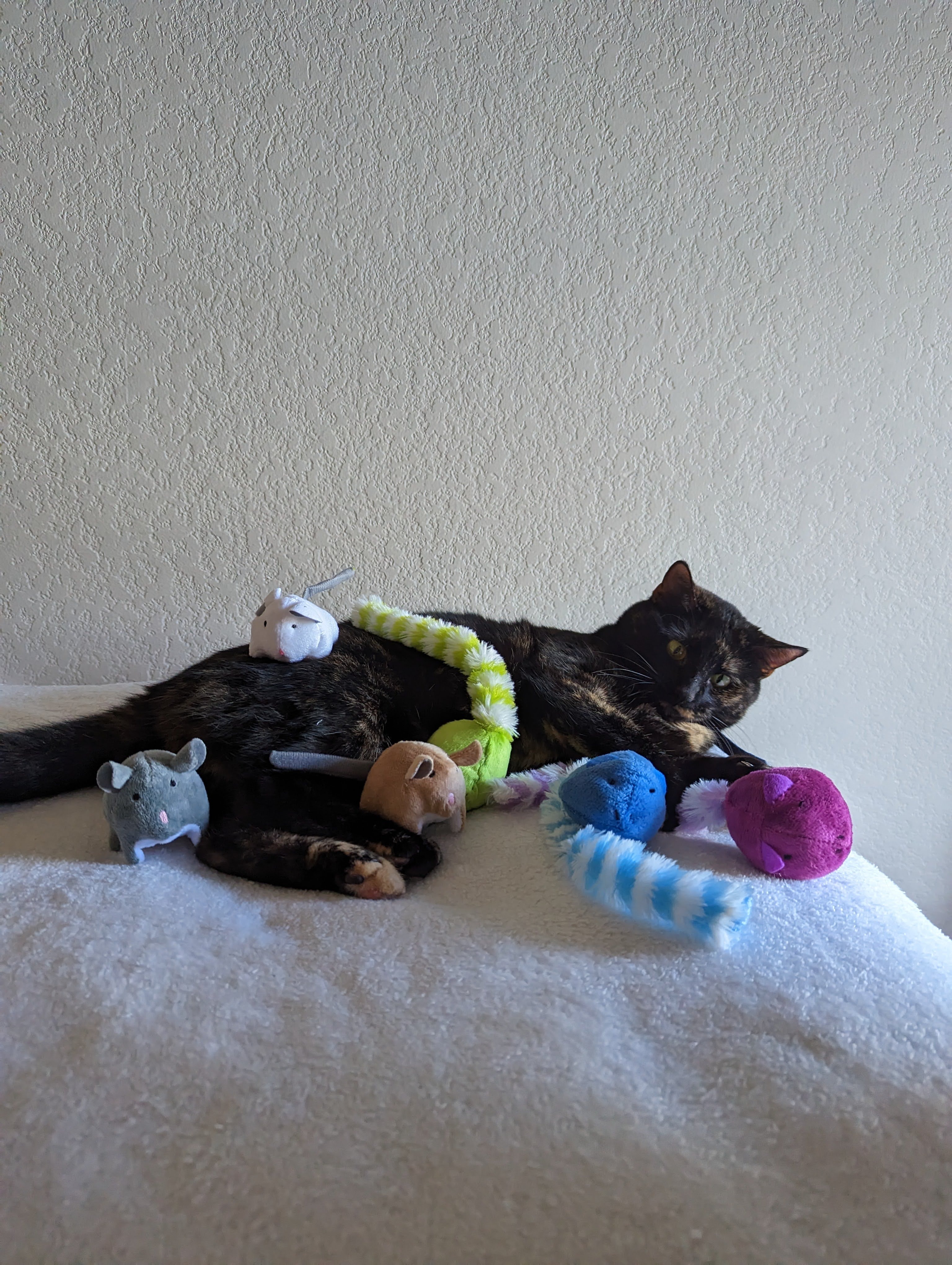 Help Ethyl Get Kidney Surgery campaign photo, 6 of 7