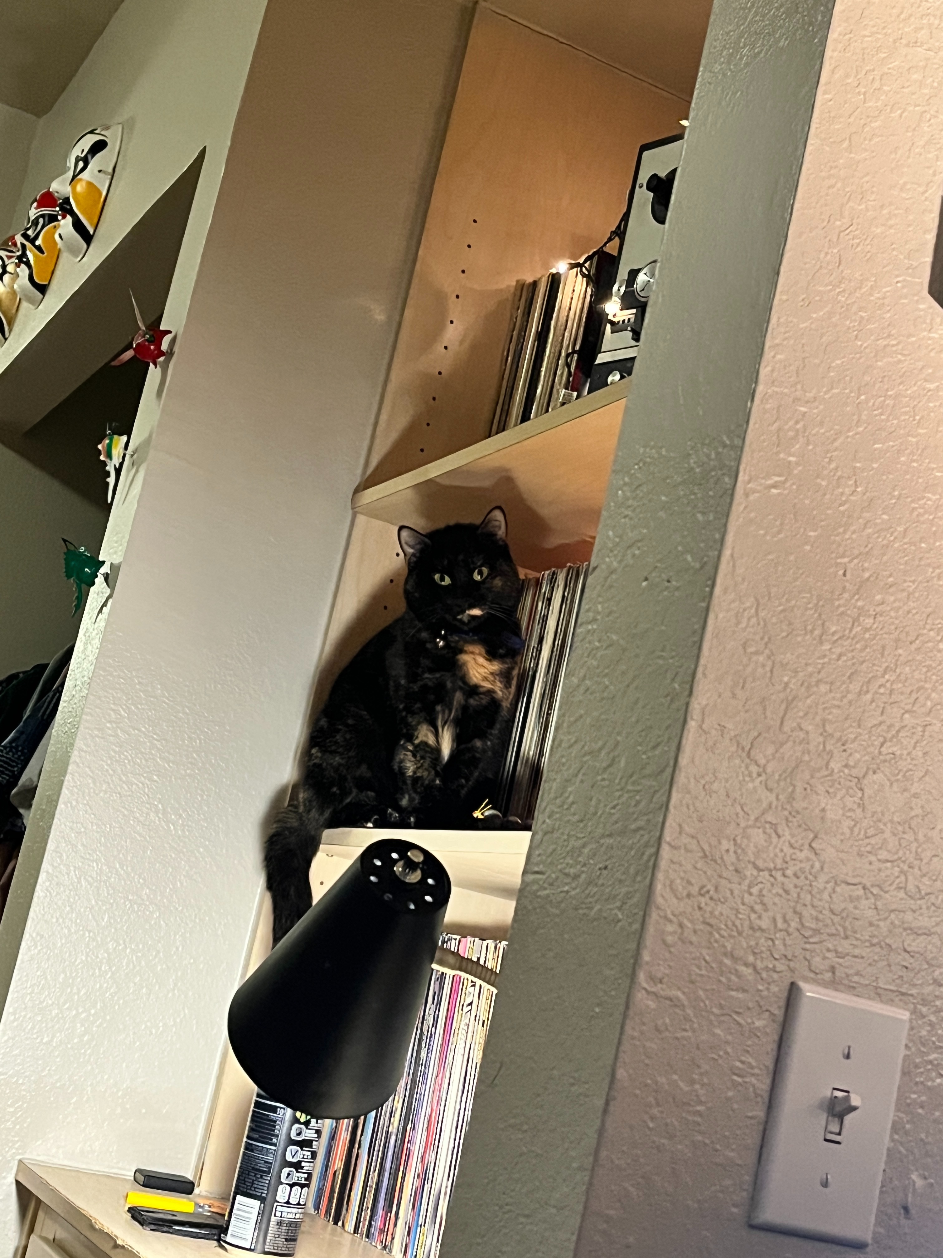 Help Ethyl Get Kidney Surgery campaign photo, 2 of 7