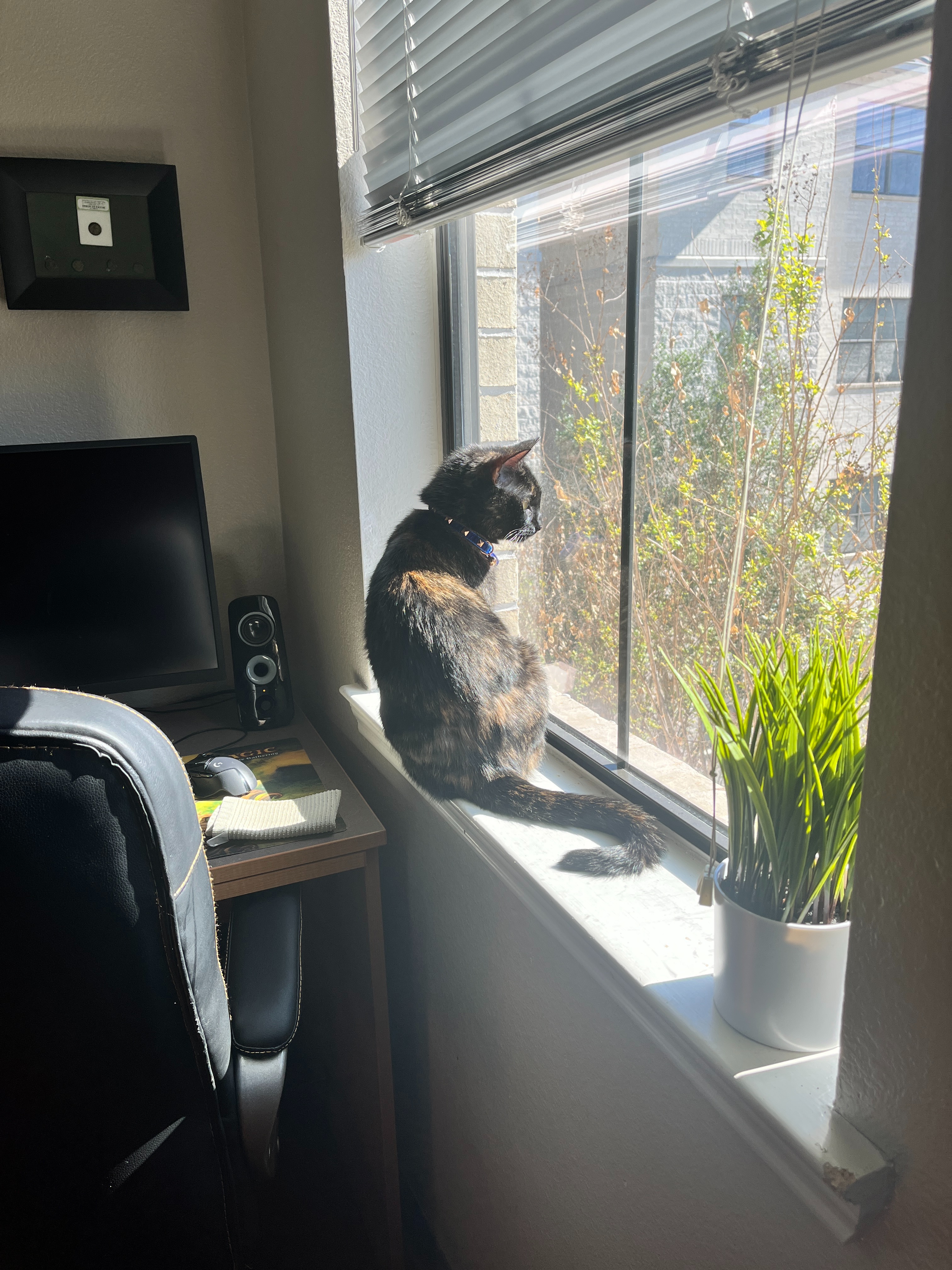 Help Ethyl Get Kidney Surgery campaign photo, 4 of 7
