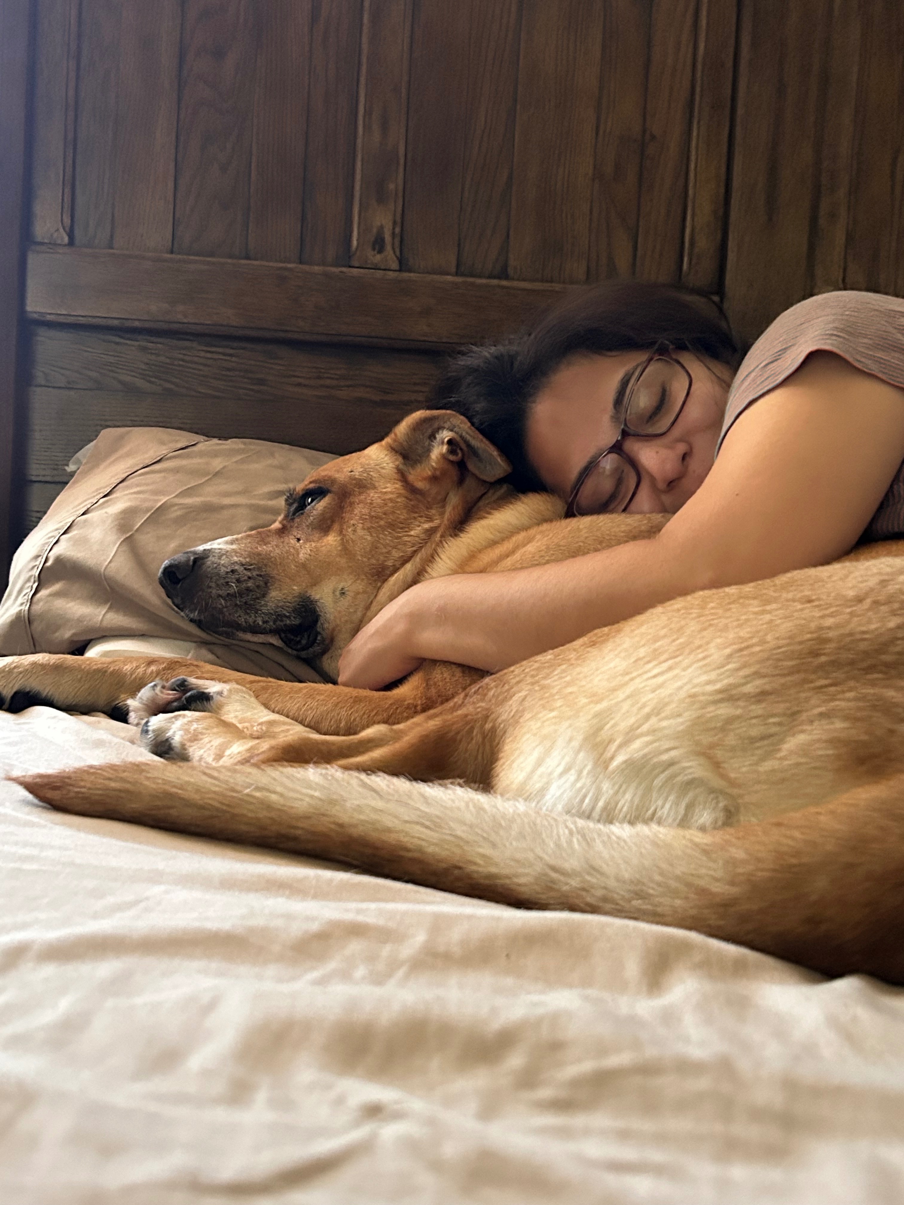 Support Daxter's Cancer Treatment Journey campaign photo, 7 of 8