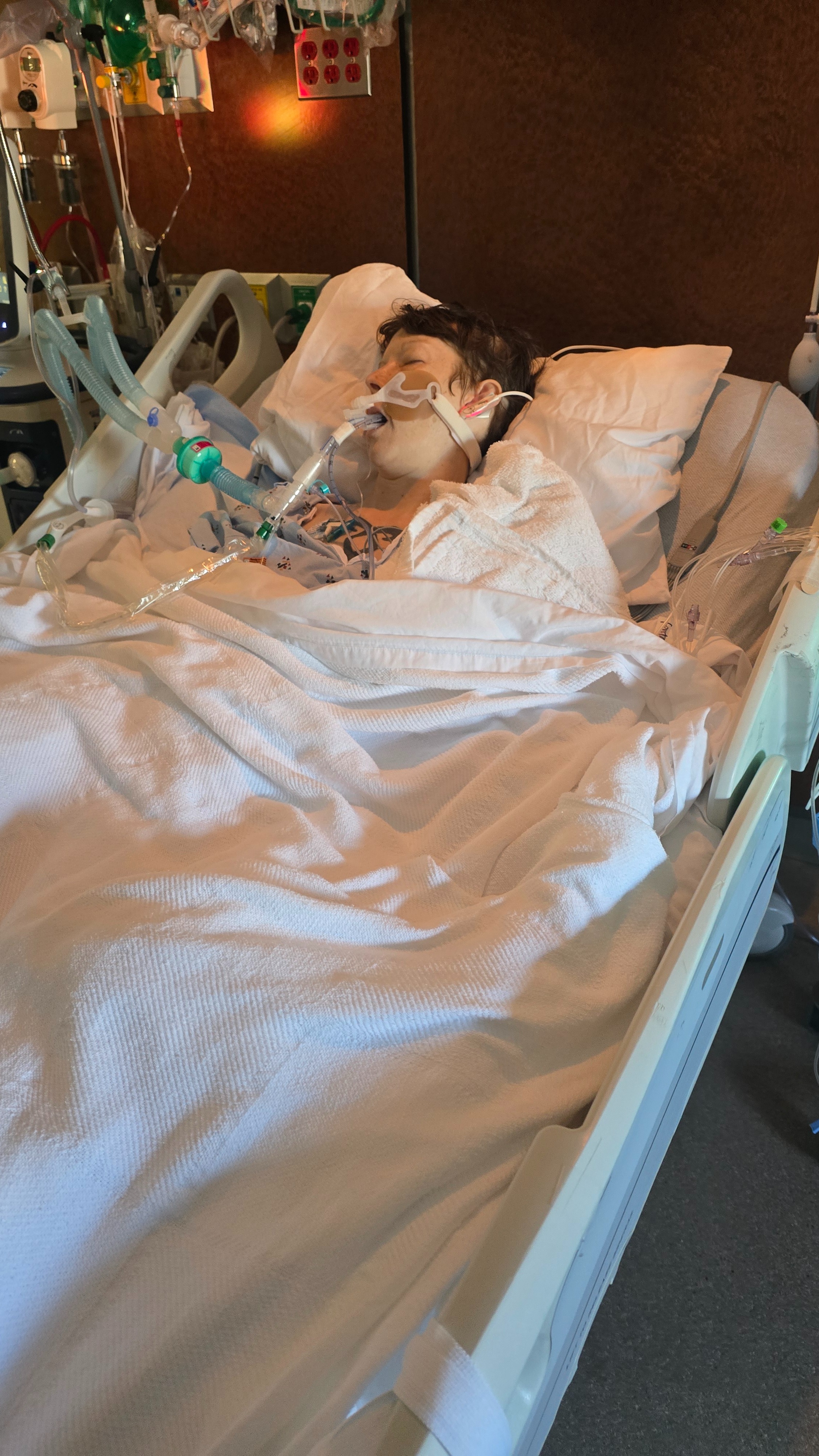 User-uploaded image 1