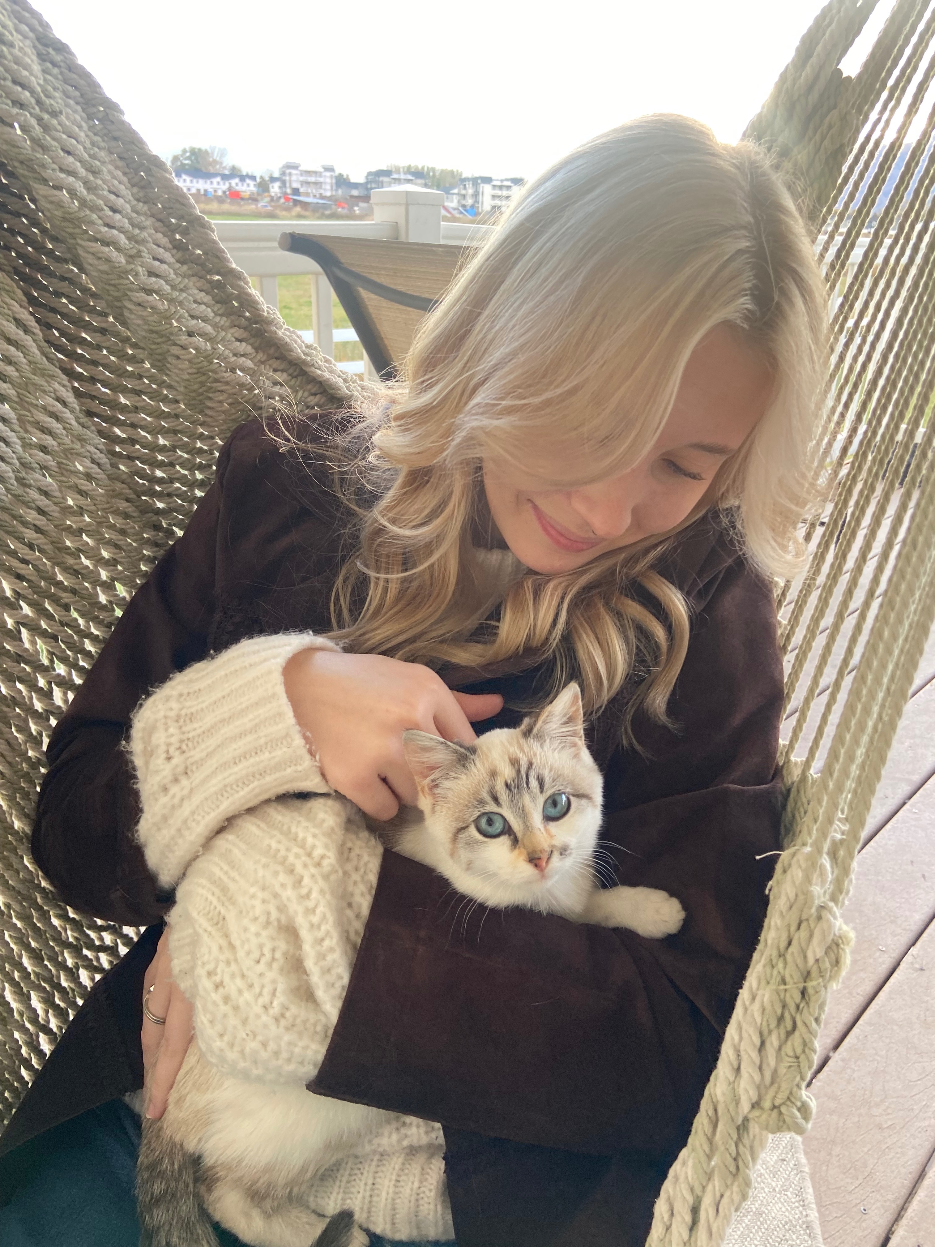 User-uploaded image 1