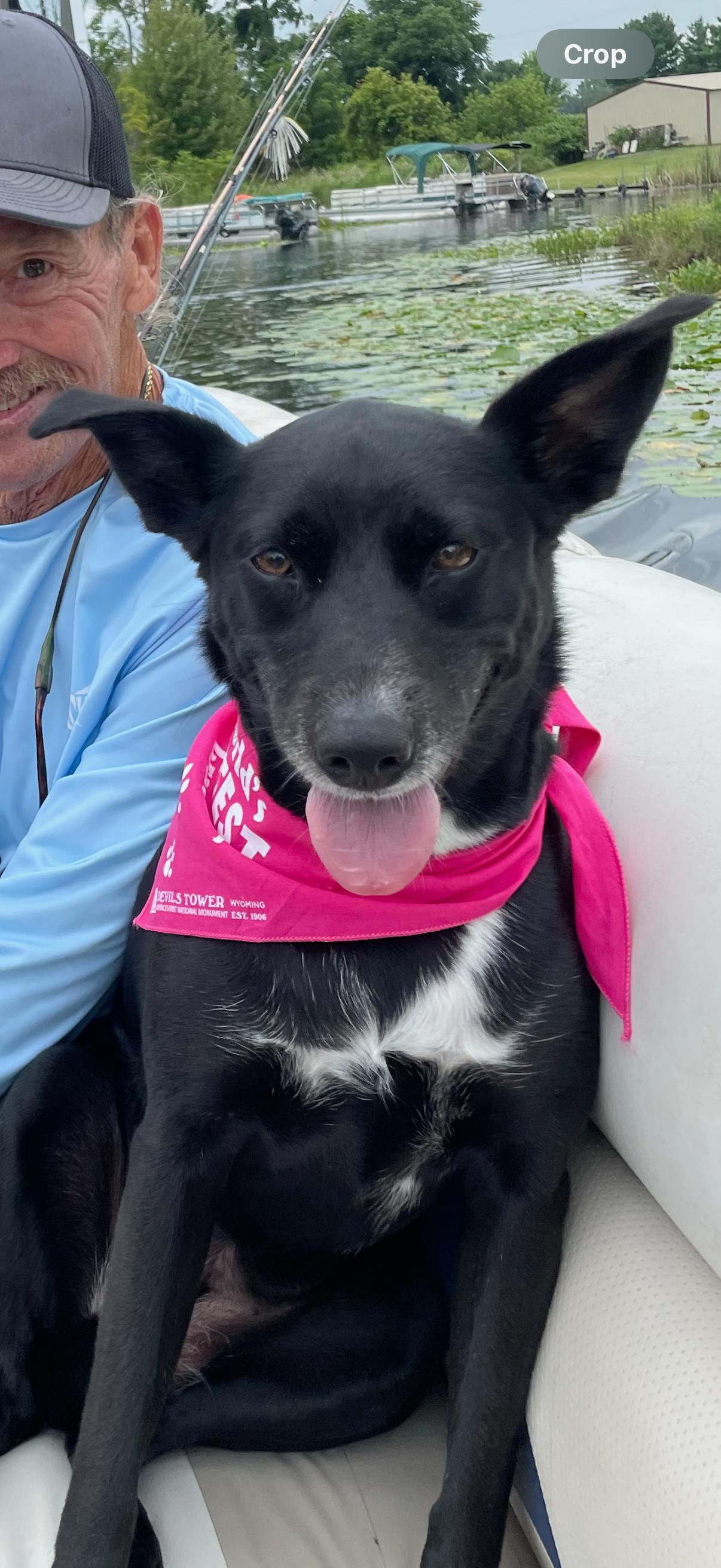 Get Novinha Back on Her Paws: Donate Now campaign photo, 6 of 8