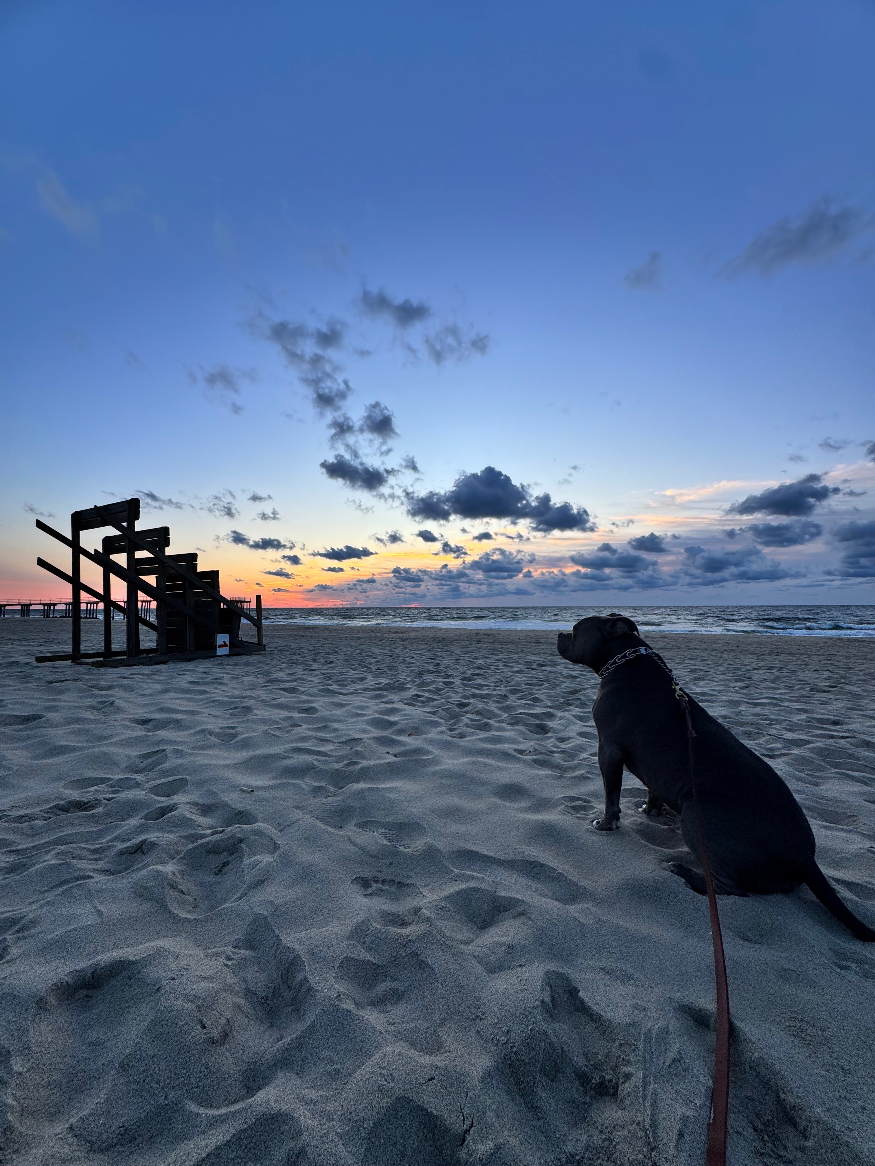 30 Mile Dog Walk for American Cancer Society campaign photo, 2 of 7