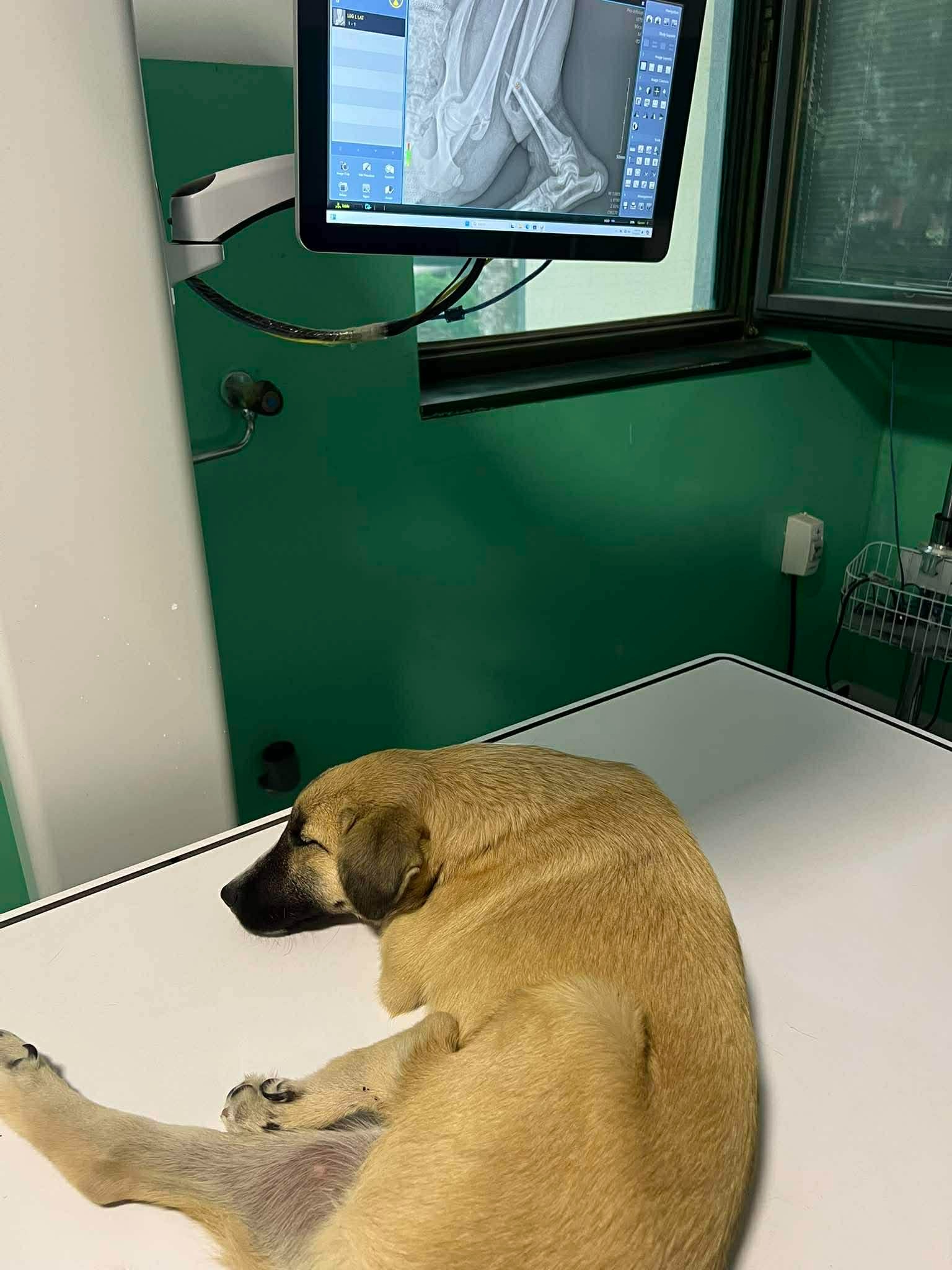 User-uploaded image 2