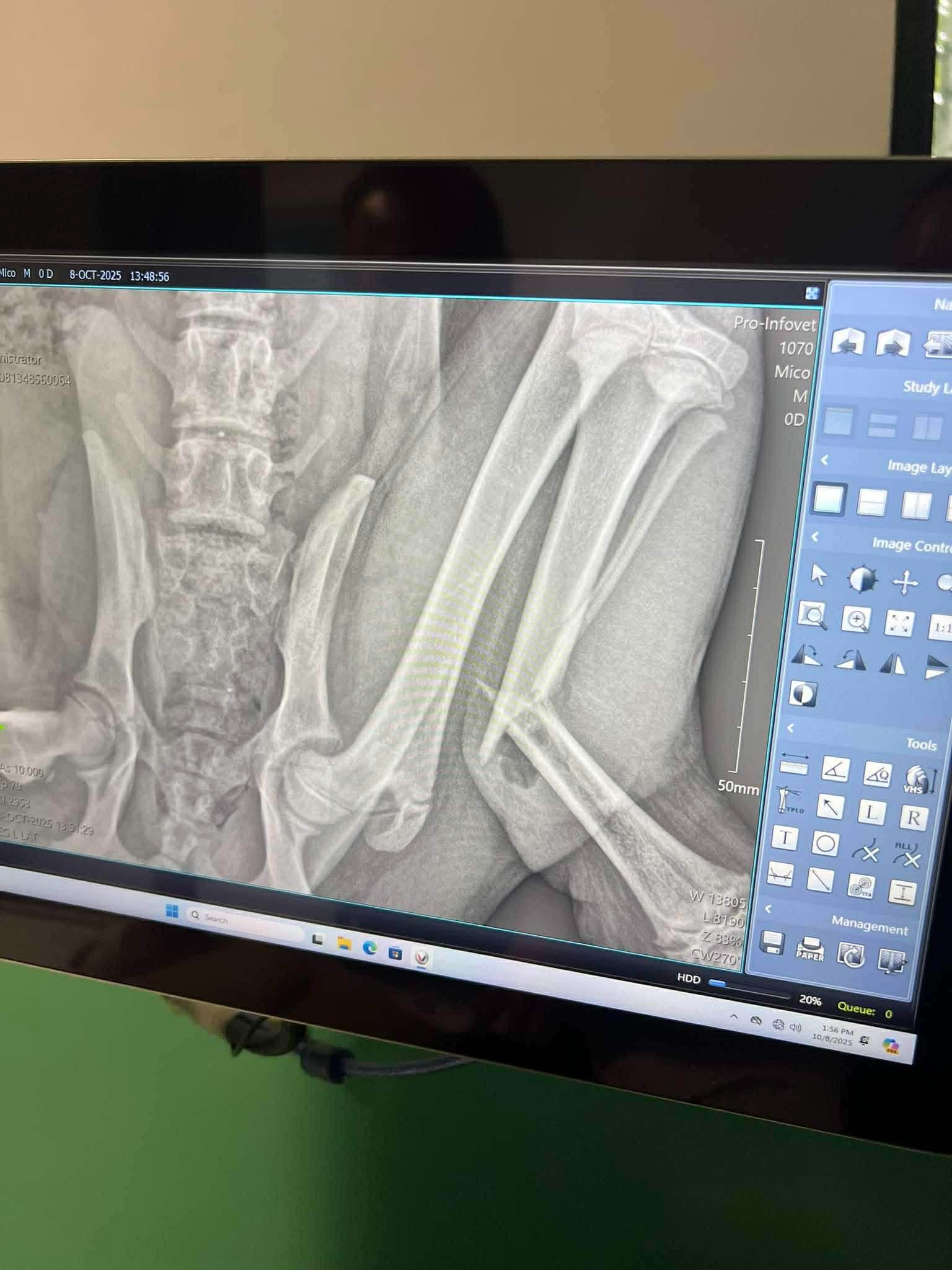 User-uploaded image 3