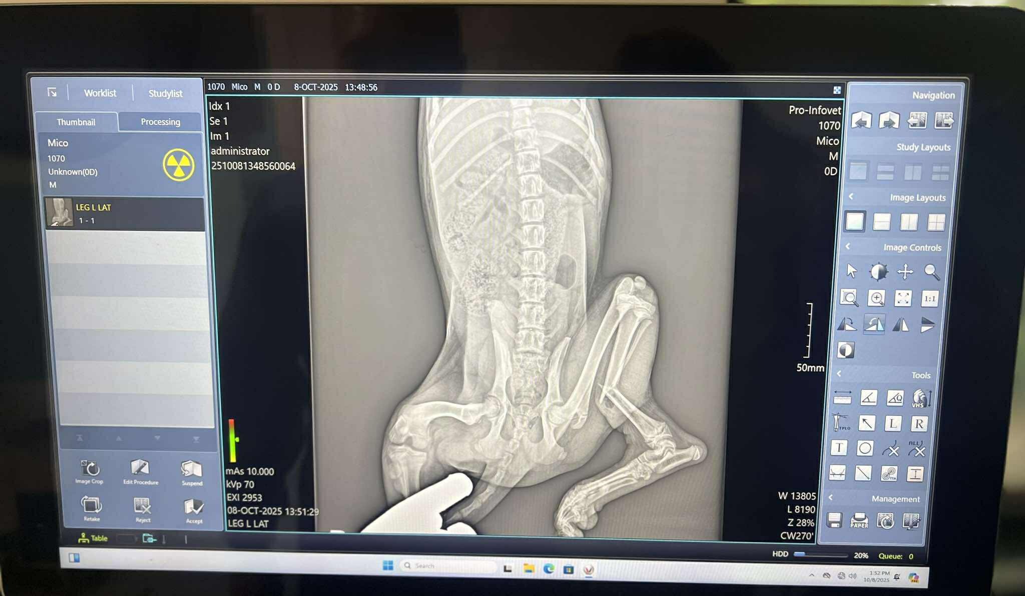 User-uploaded image 4