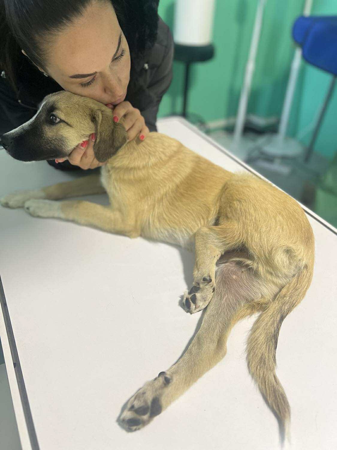 User-uploaded image 5