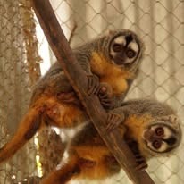Twee jongeren die dieren helpen in Samaipata campaign photo, 4 of 7