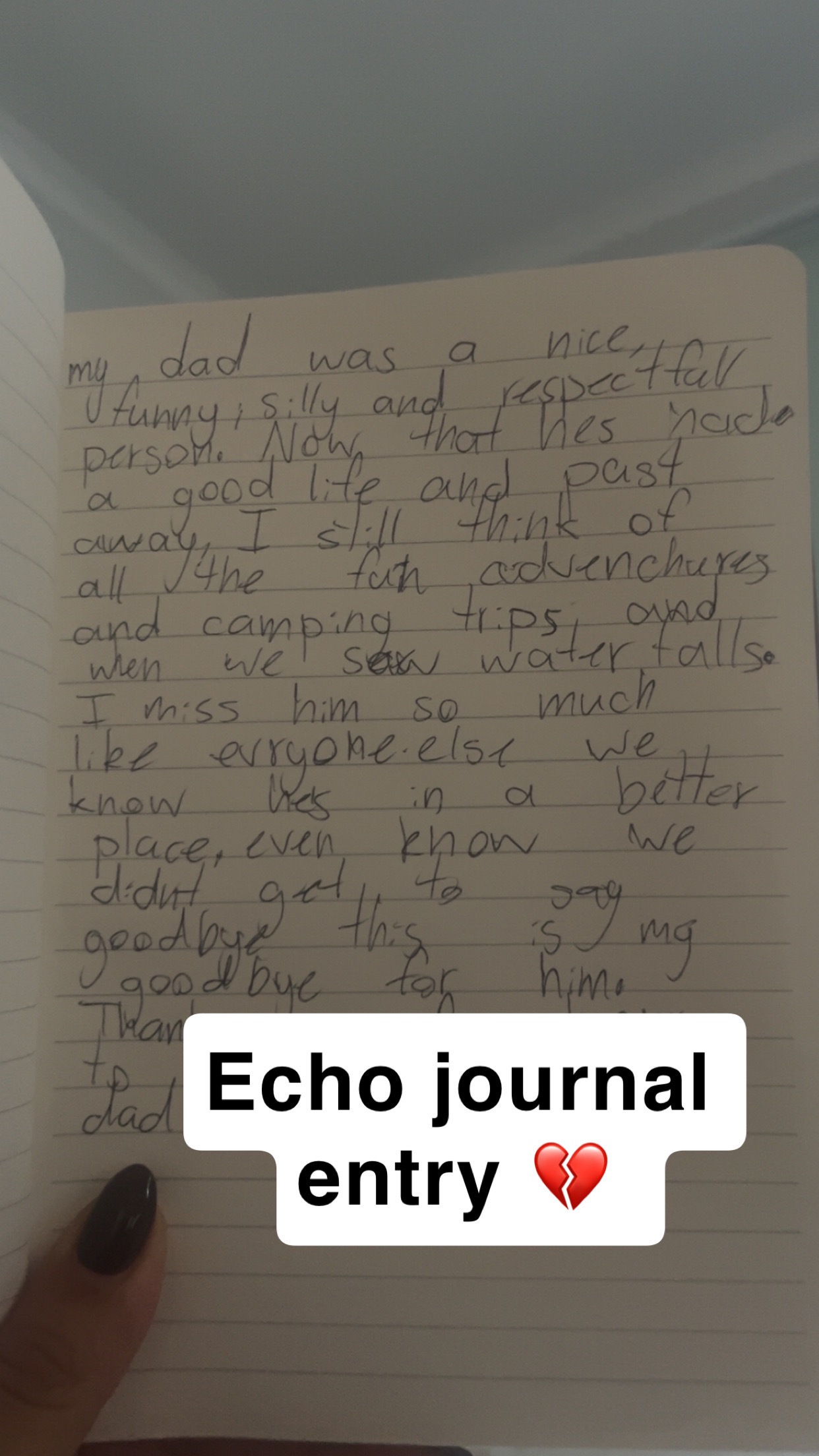 Support Ally (10) Echo (9) after the loss of their Dad. campaign photo, 2 of 6