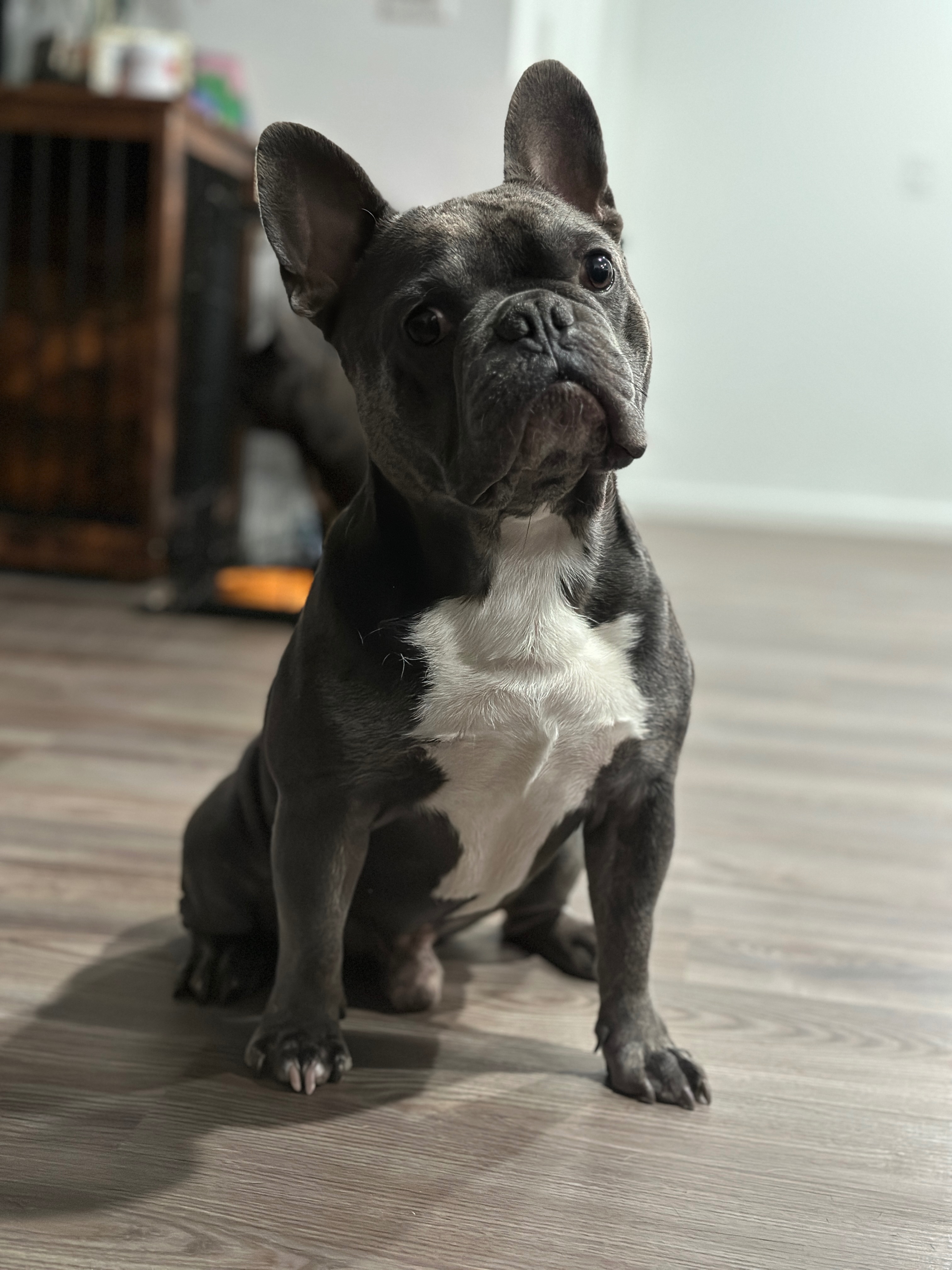 User-uploaded image 1