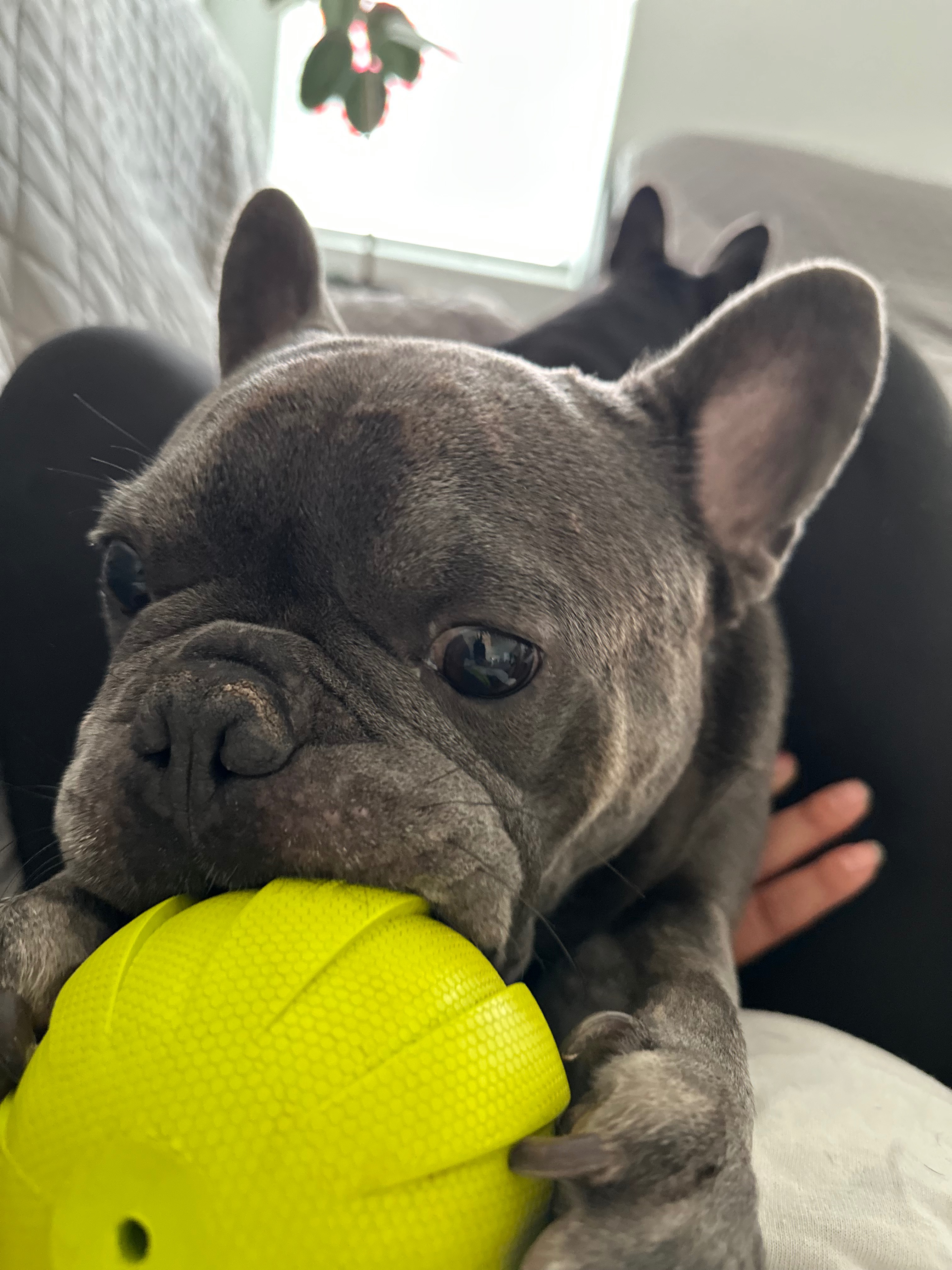 User-uploaded image 2