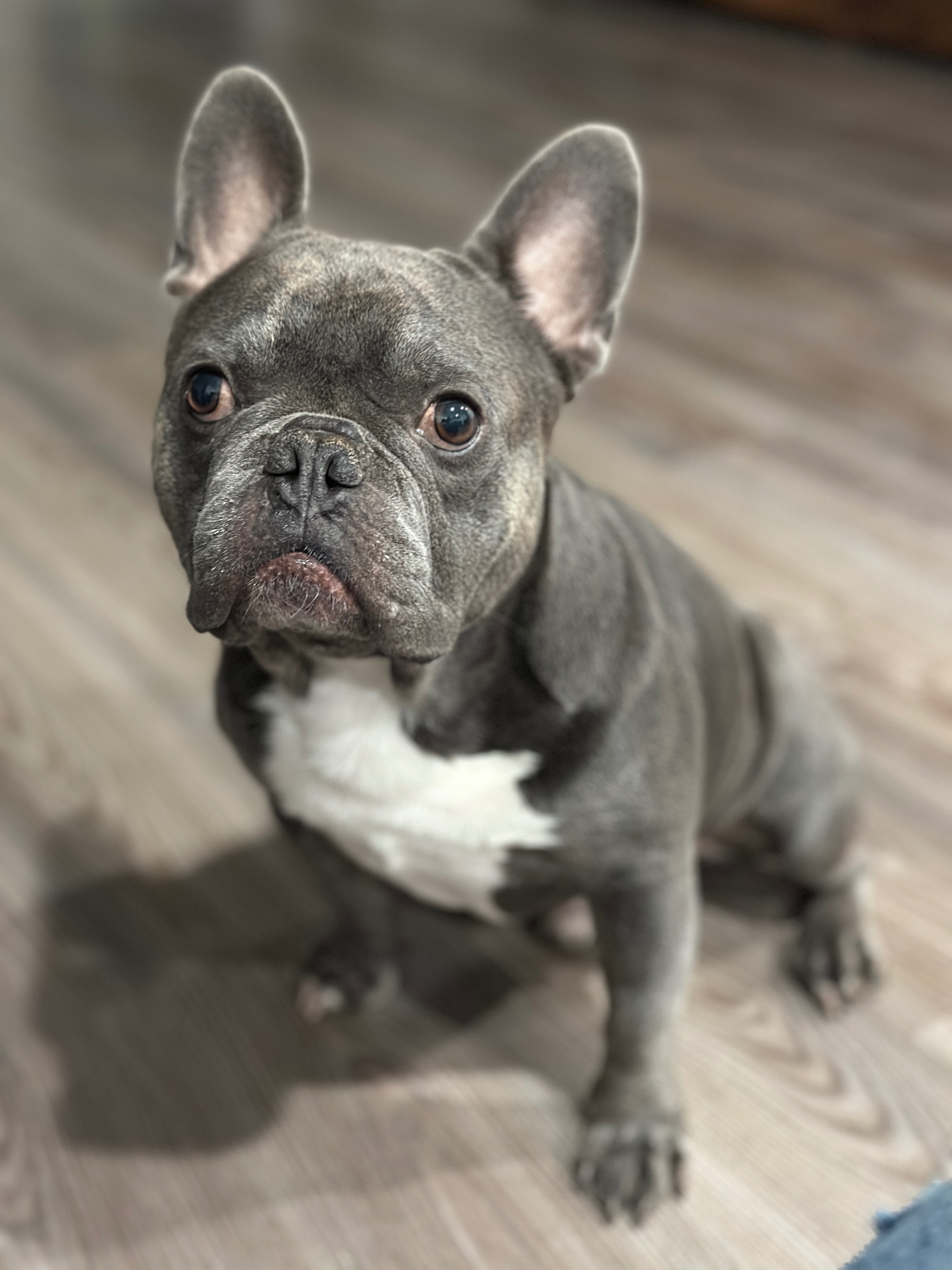 User-uploaded image 3