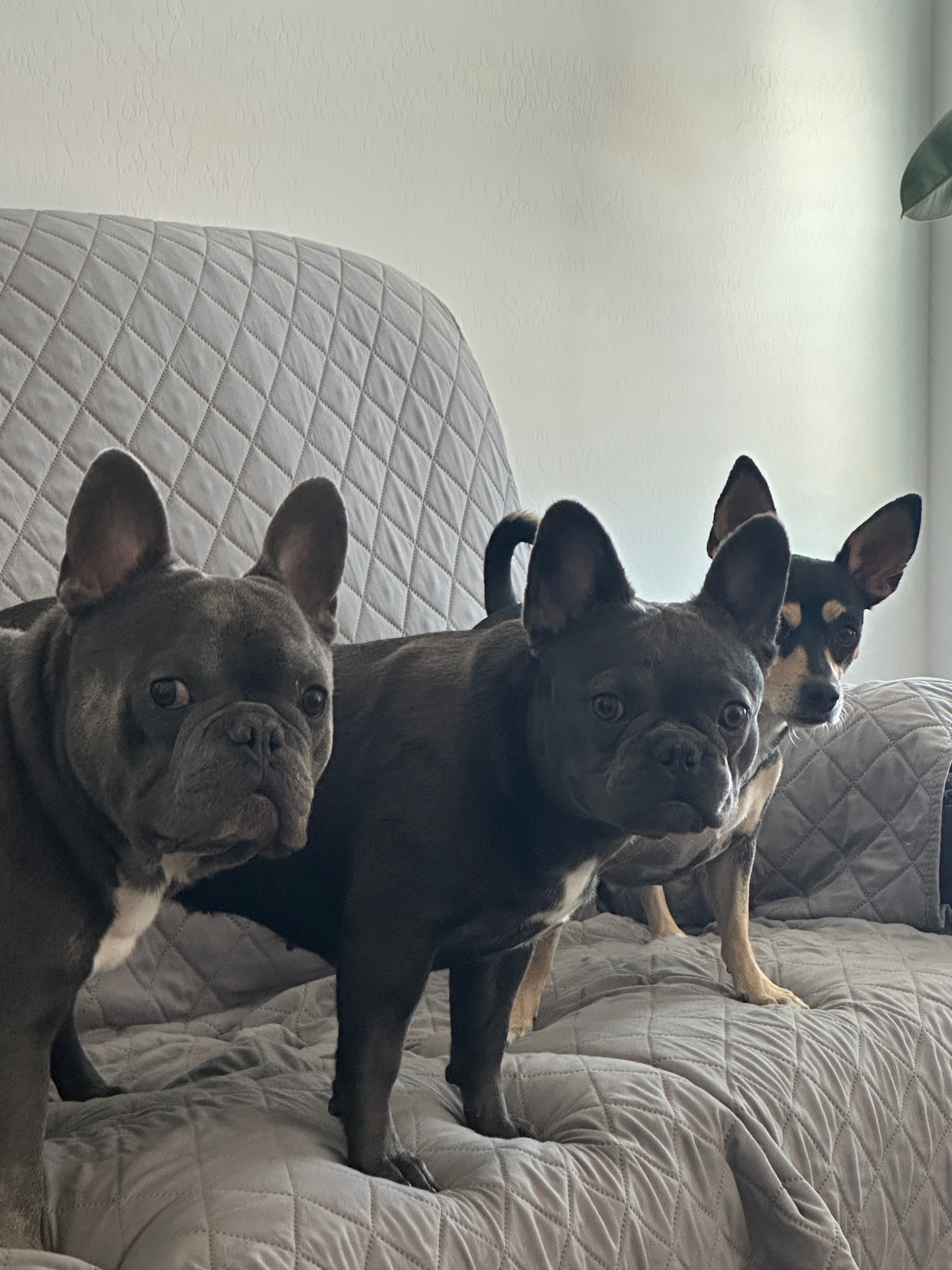 User-uploaded image 4