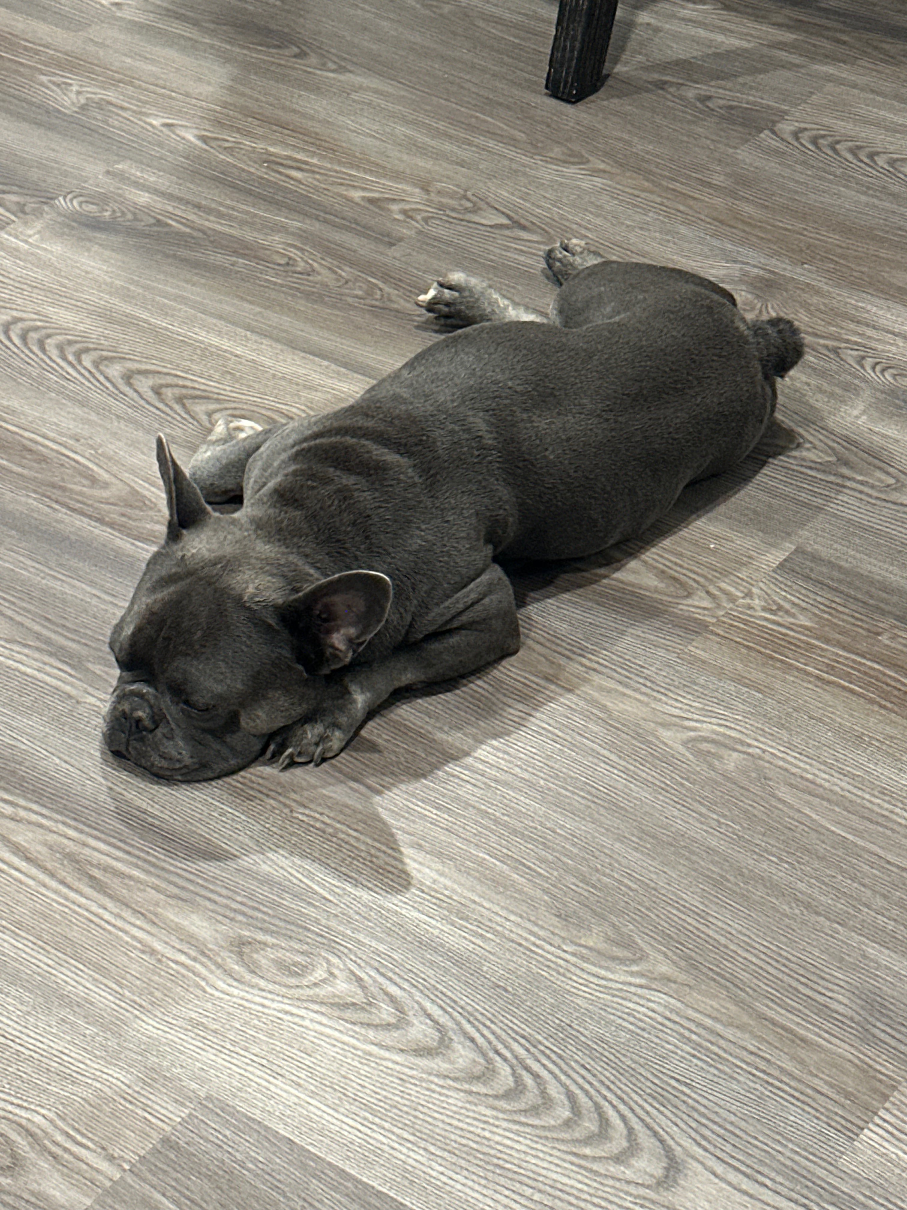 User-uploaded image 5