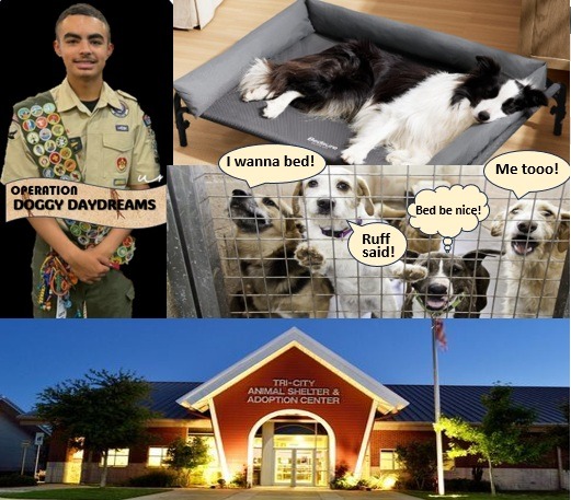 OPERATION DOGGY DAYDREAMS campaign photo, 2 of 4