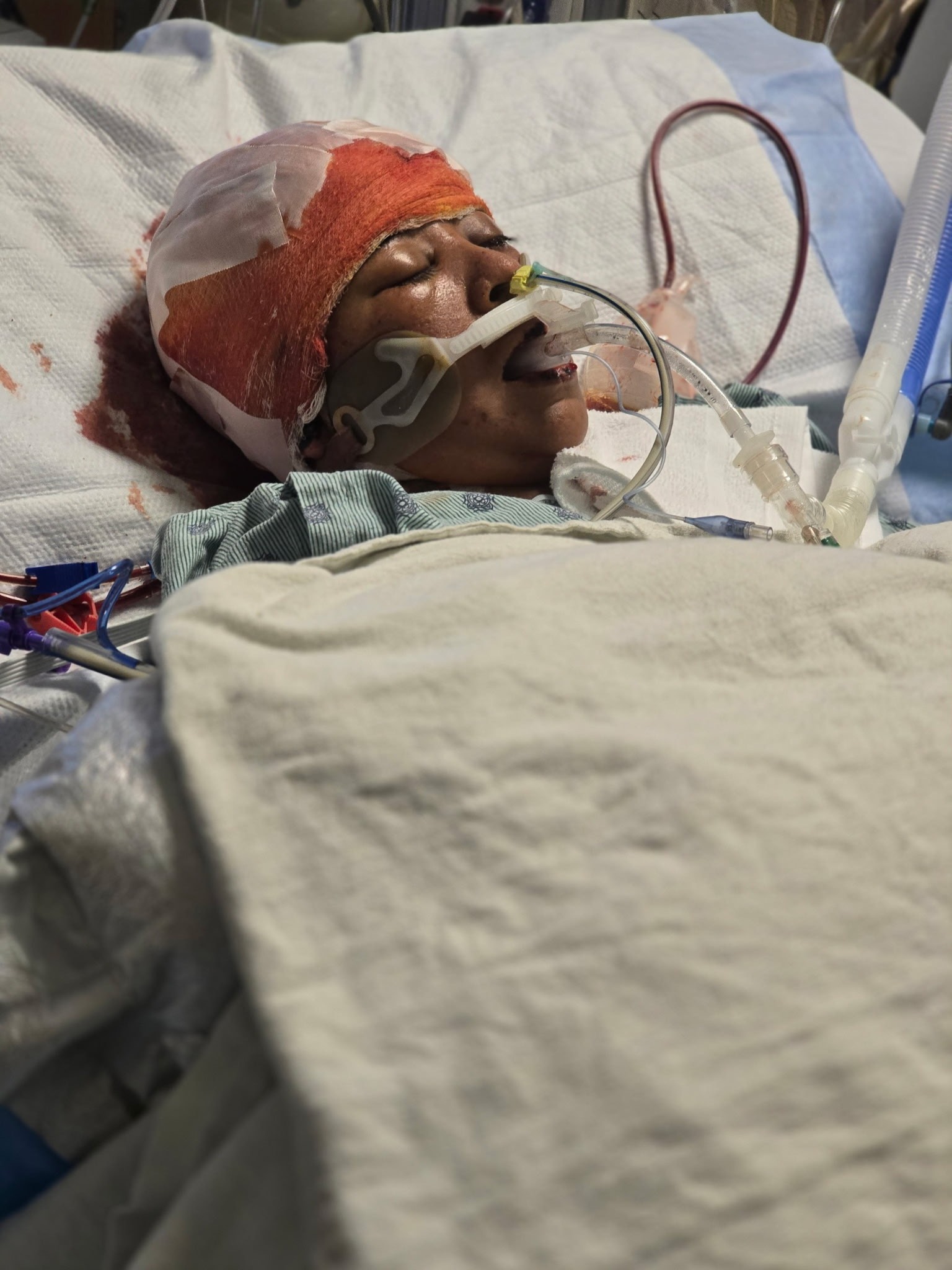 User-uploaded image 1