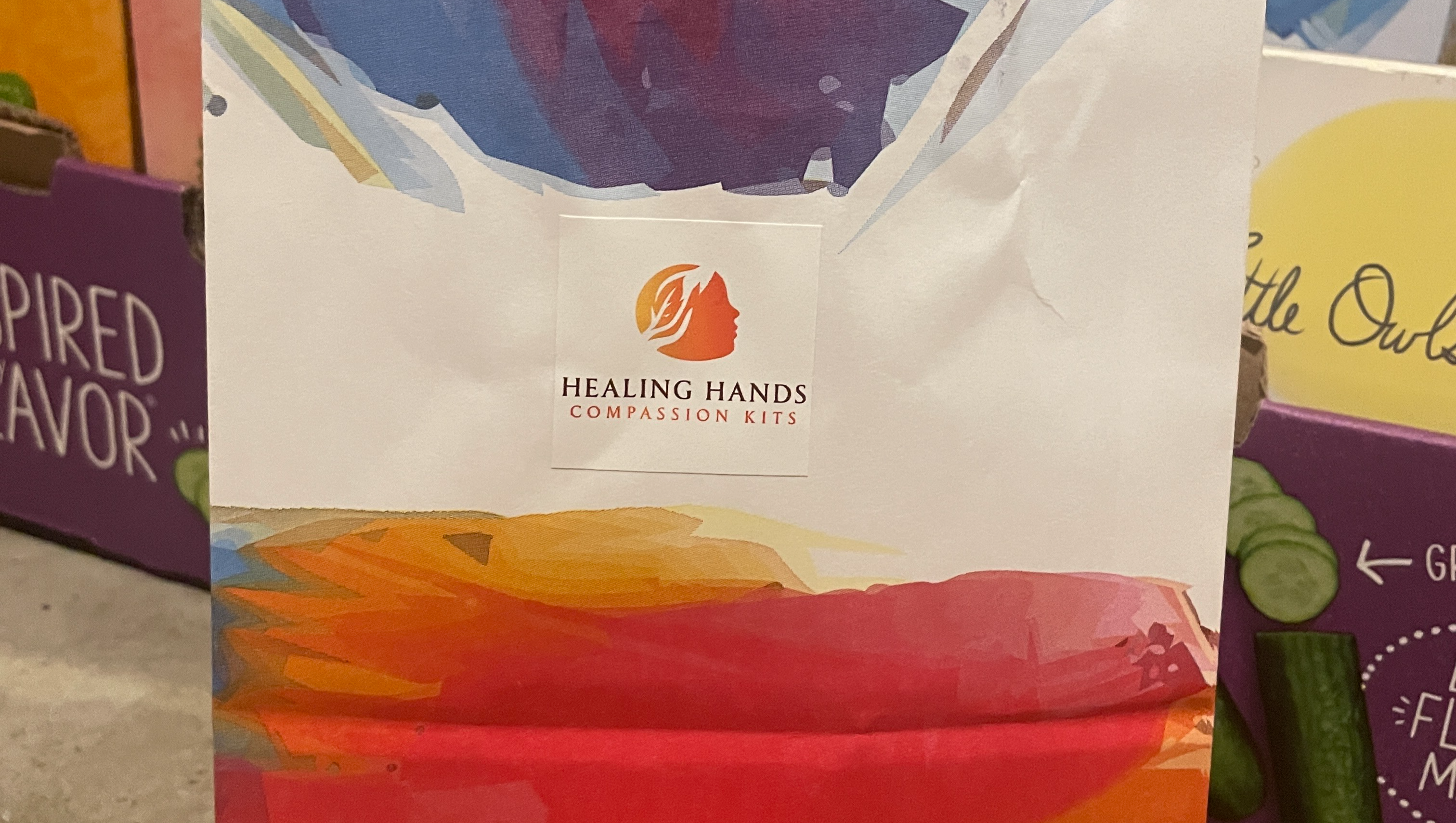 Fundraiser by Kayla Kaminski : A Beacon of Hope: Mental Health Kits for ...
