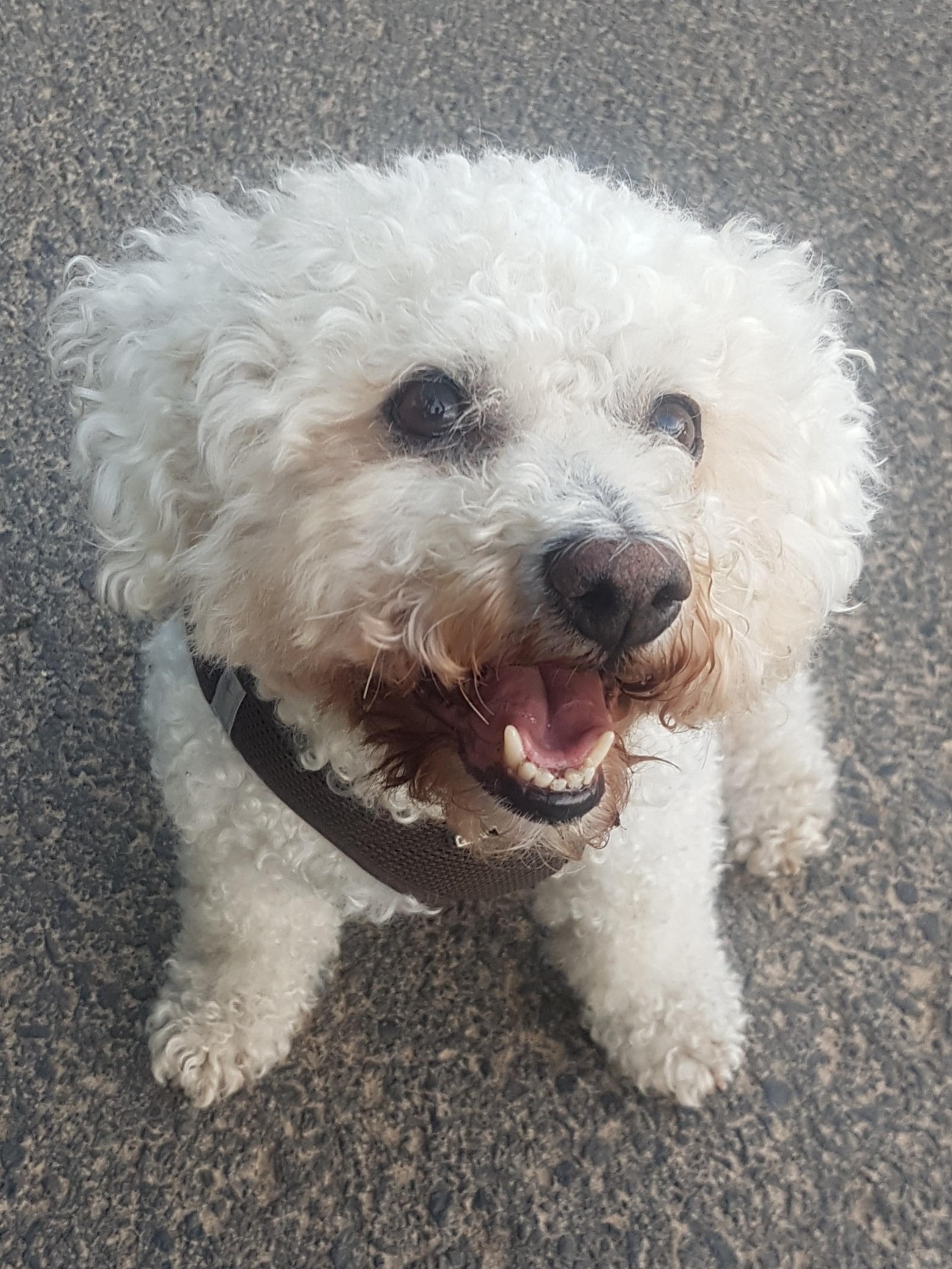 User-uploaded image 1