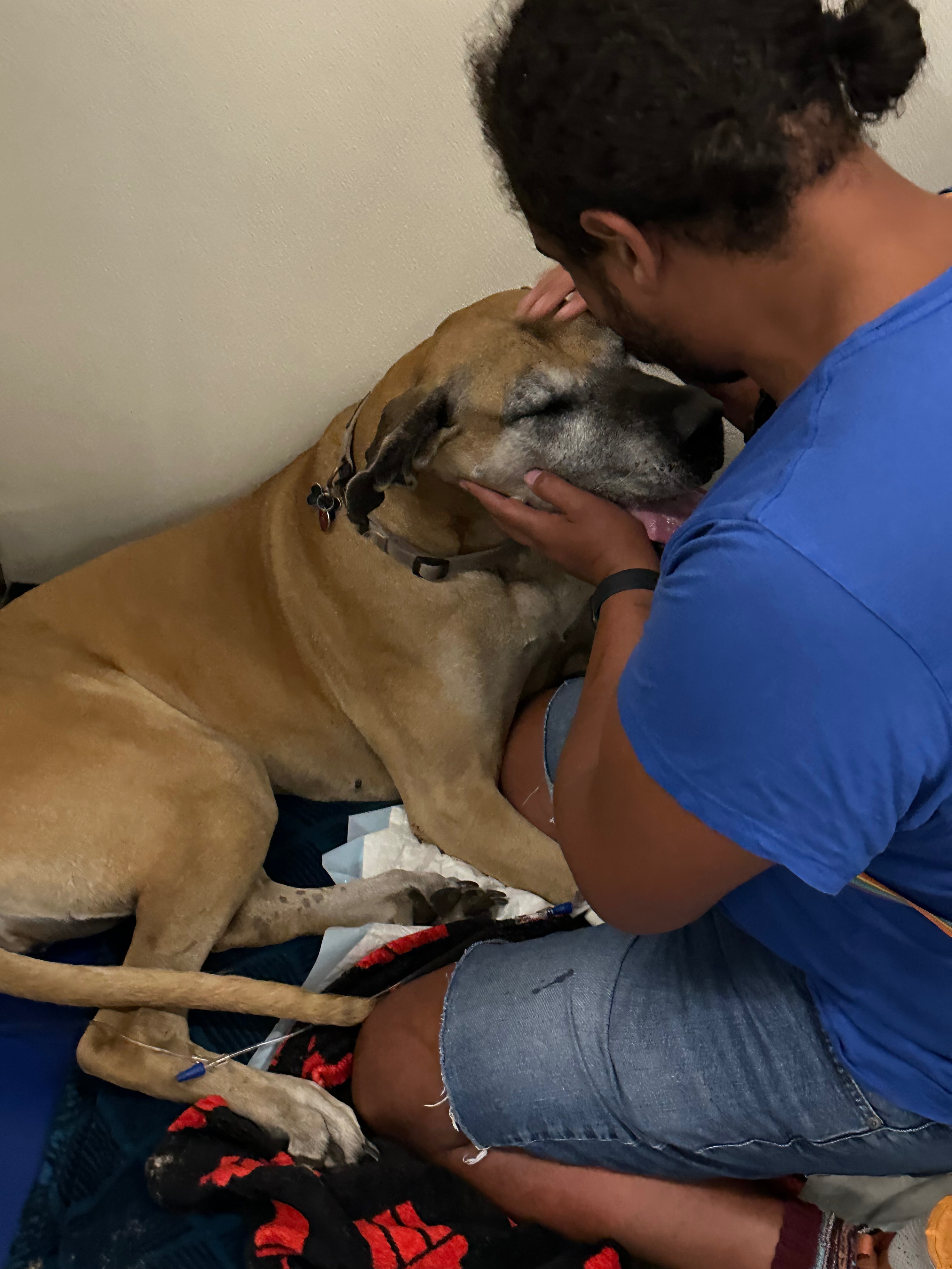 Help Charlie Through Her Recovery campaign photo, 6 of 8