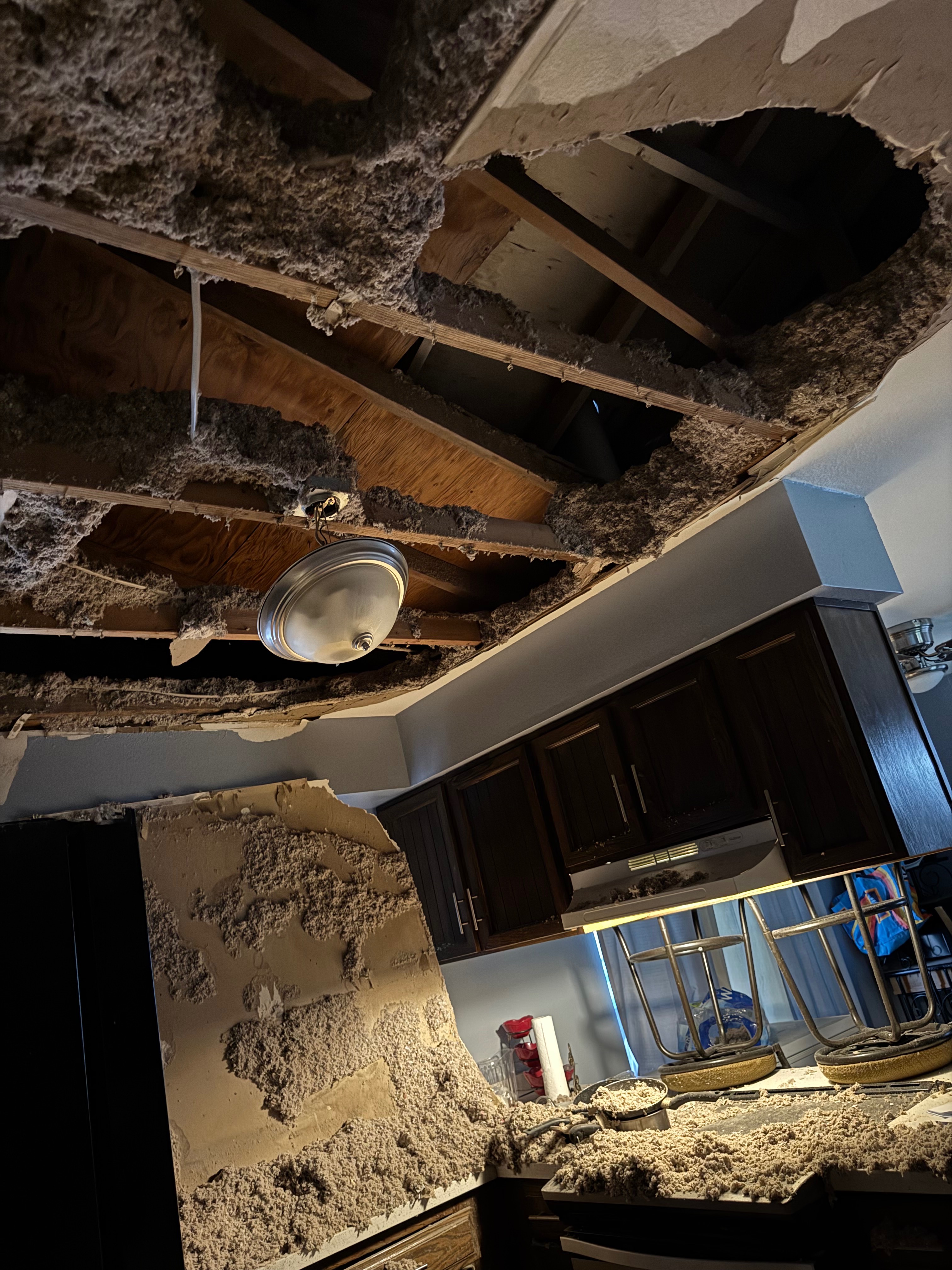 Help Support Karla’s Urgent Home Repairs campaign photo, 4 of 5
