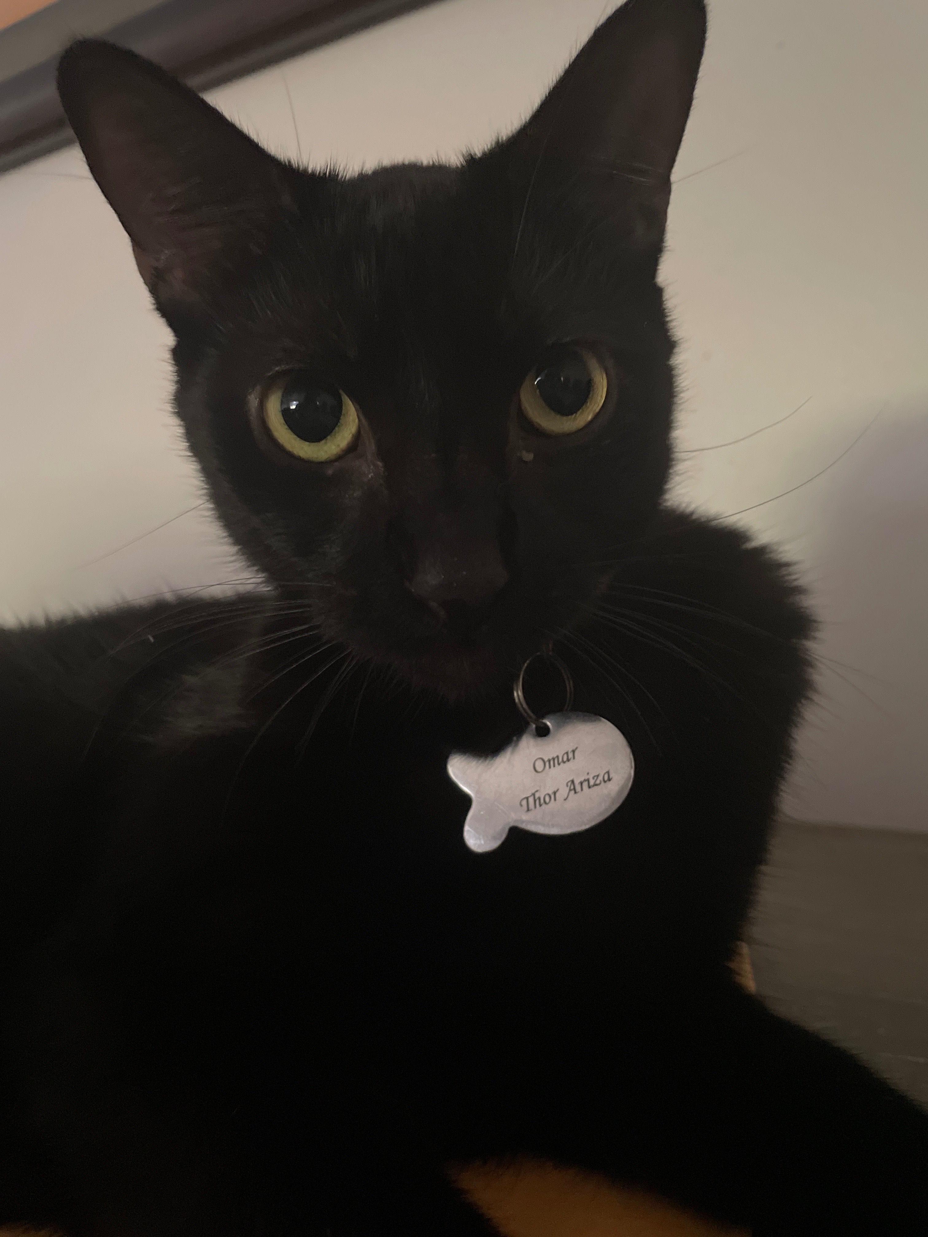 Give Omar a Chance: Donate for His Treatment campaign photo, 4 of 8